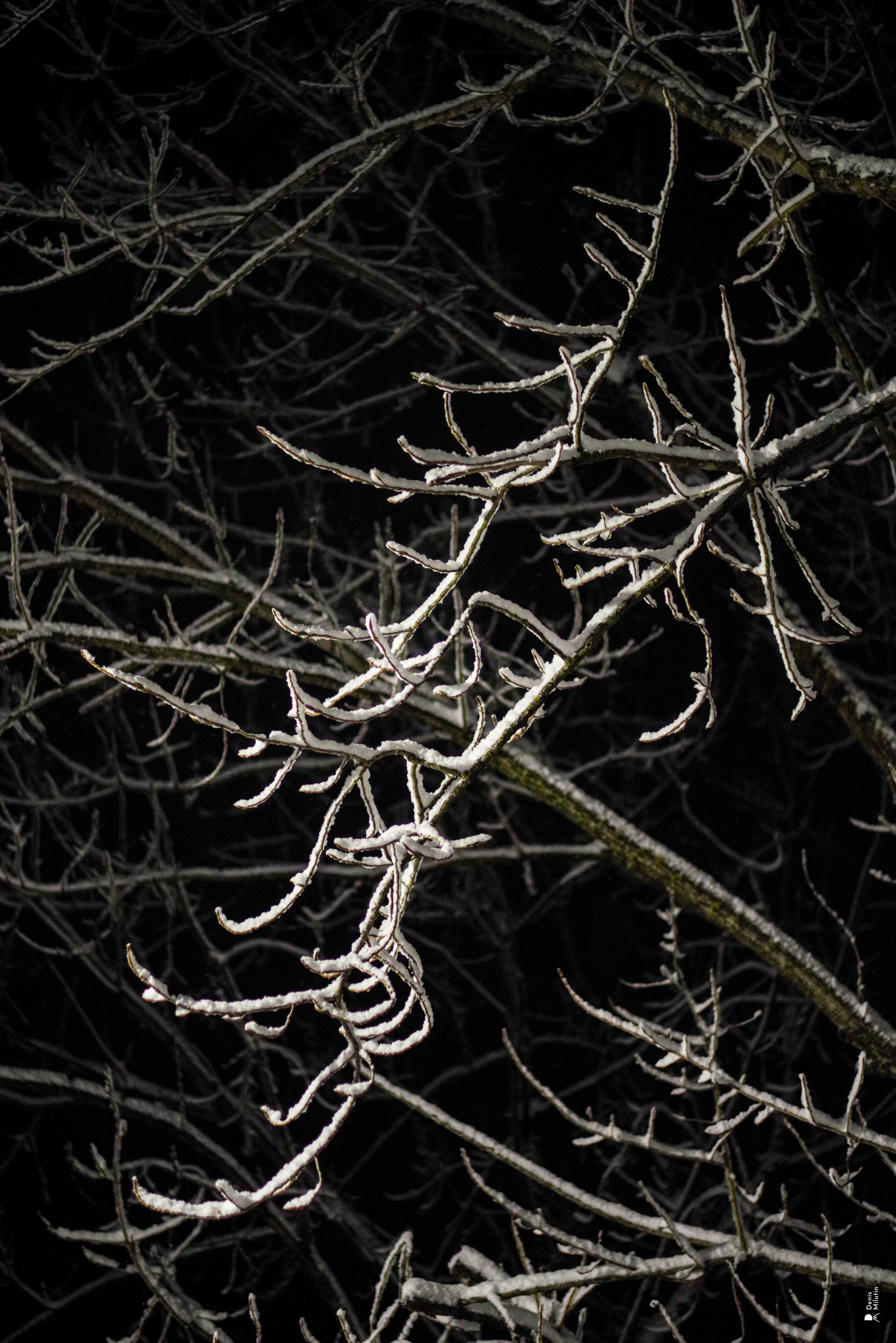 Ночь в Менджи. Портретный фотограф Денис Милютин