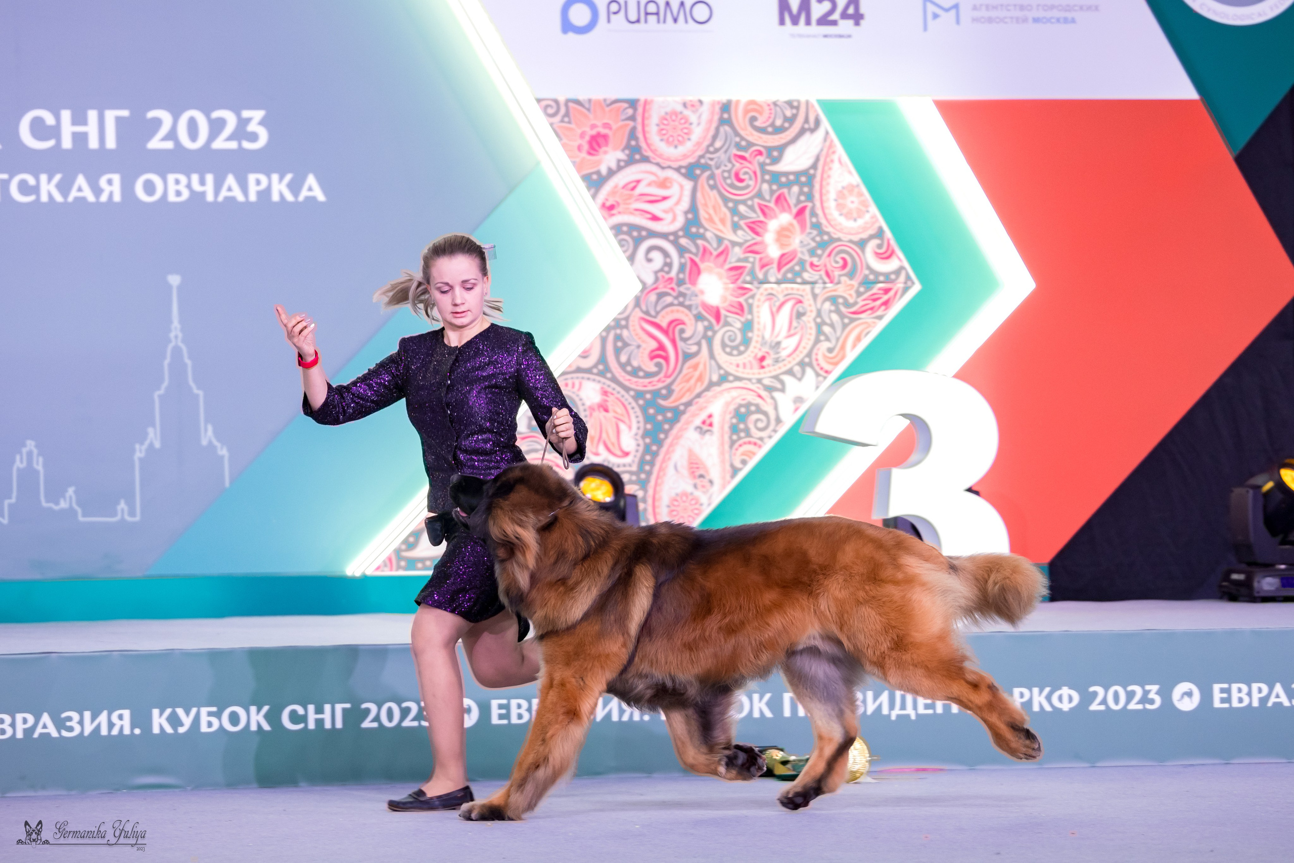 ЕВРАЗИЯ 18-19.11.2023. Фотограф-анималист Юлия Германика