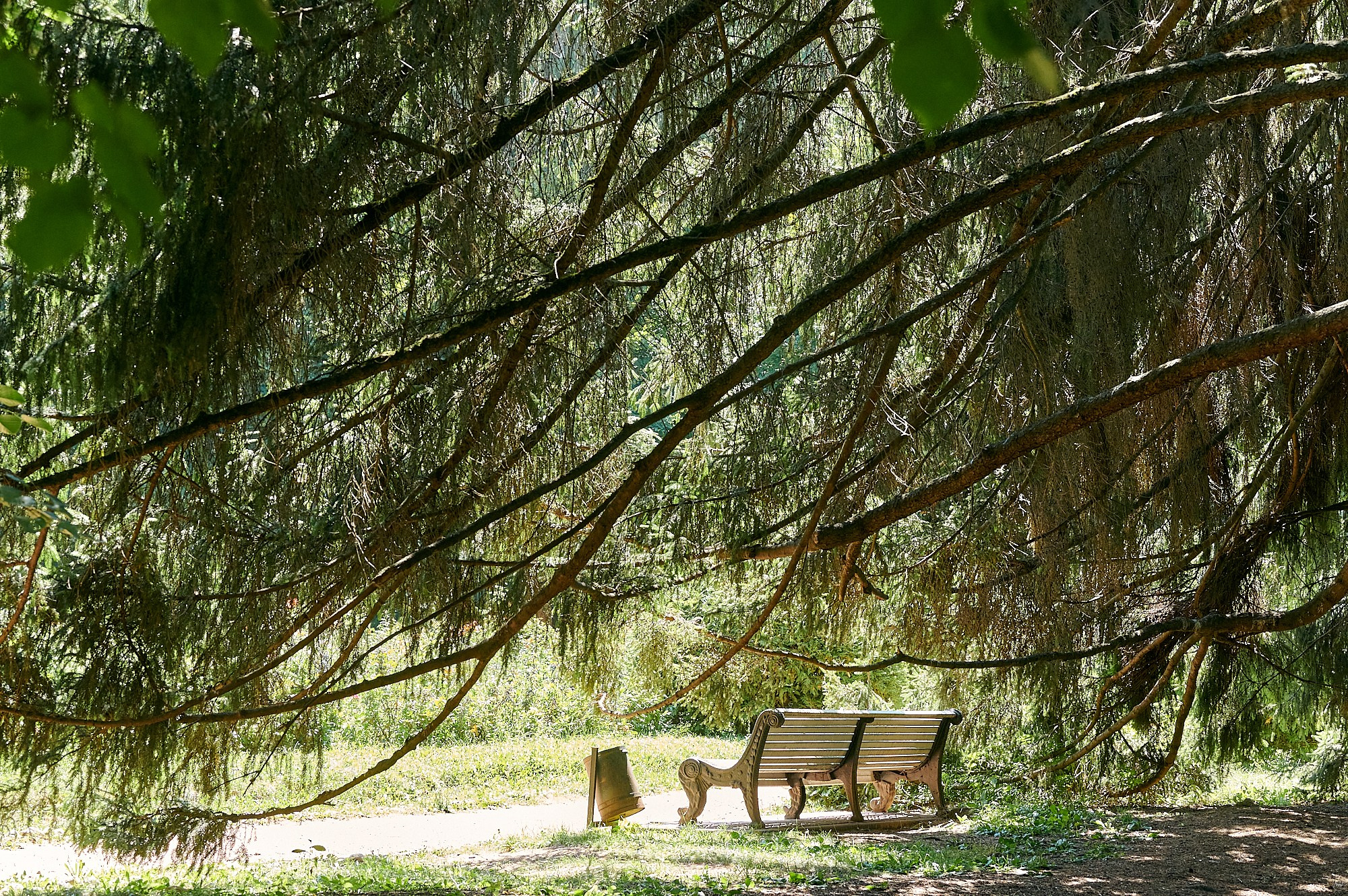 Кисловодск, Россия. Август 2024. Фотографии отовсюду и обо всем