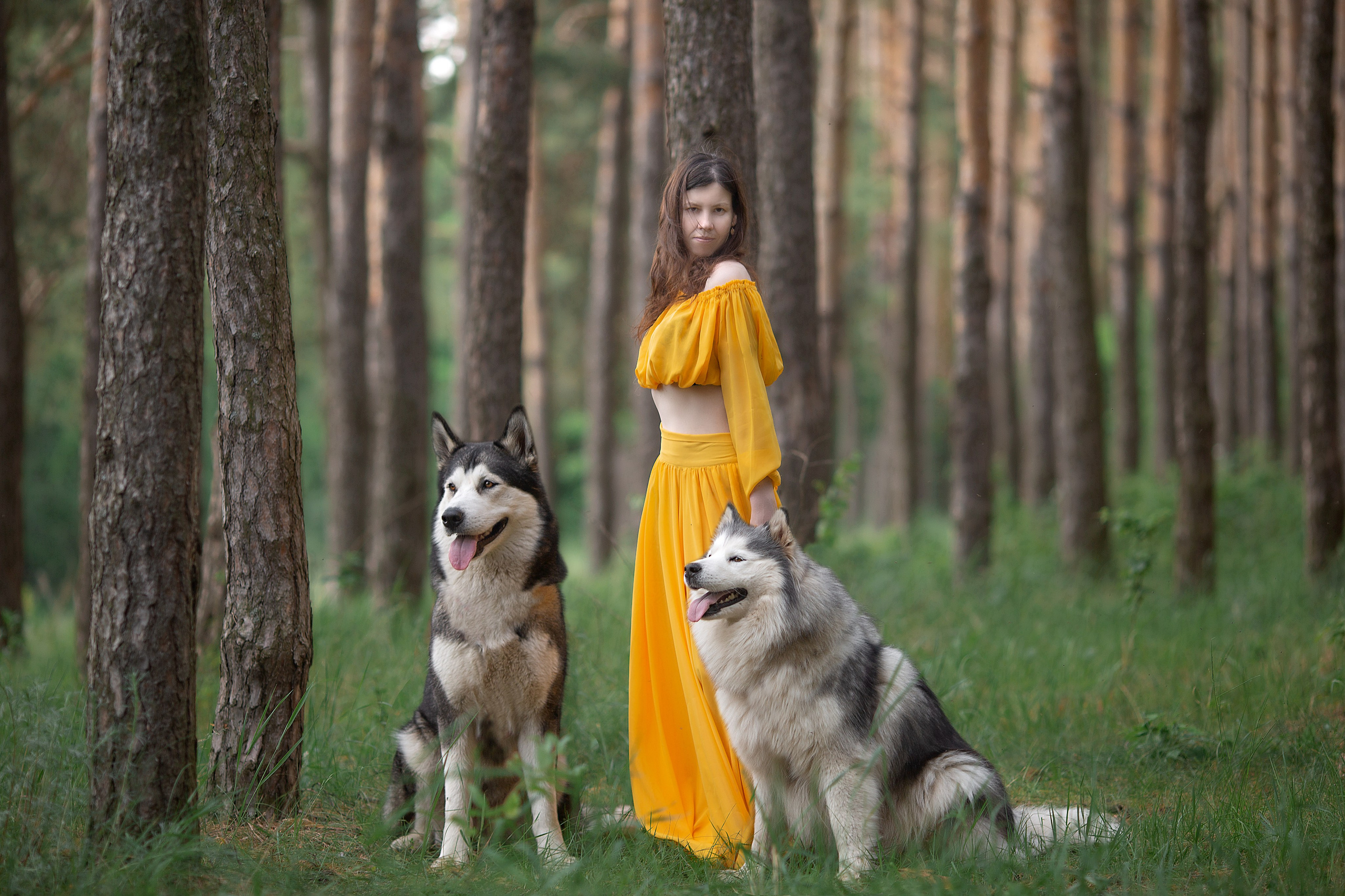 Наталья фотосессия с собаками. Фотосессия с лошадьми в Нижнем Новгороде