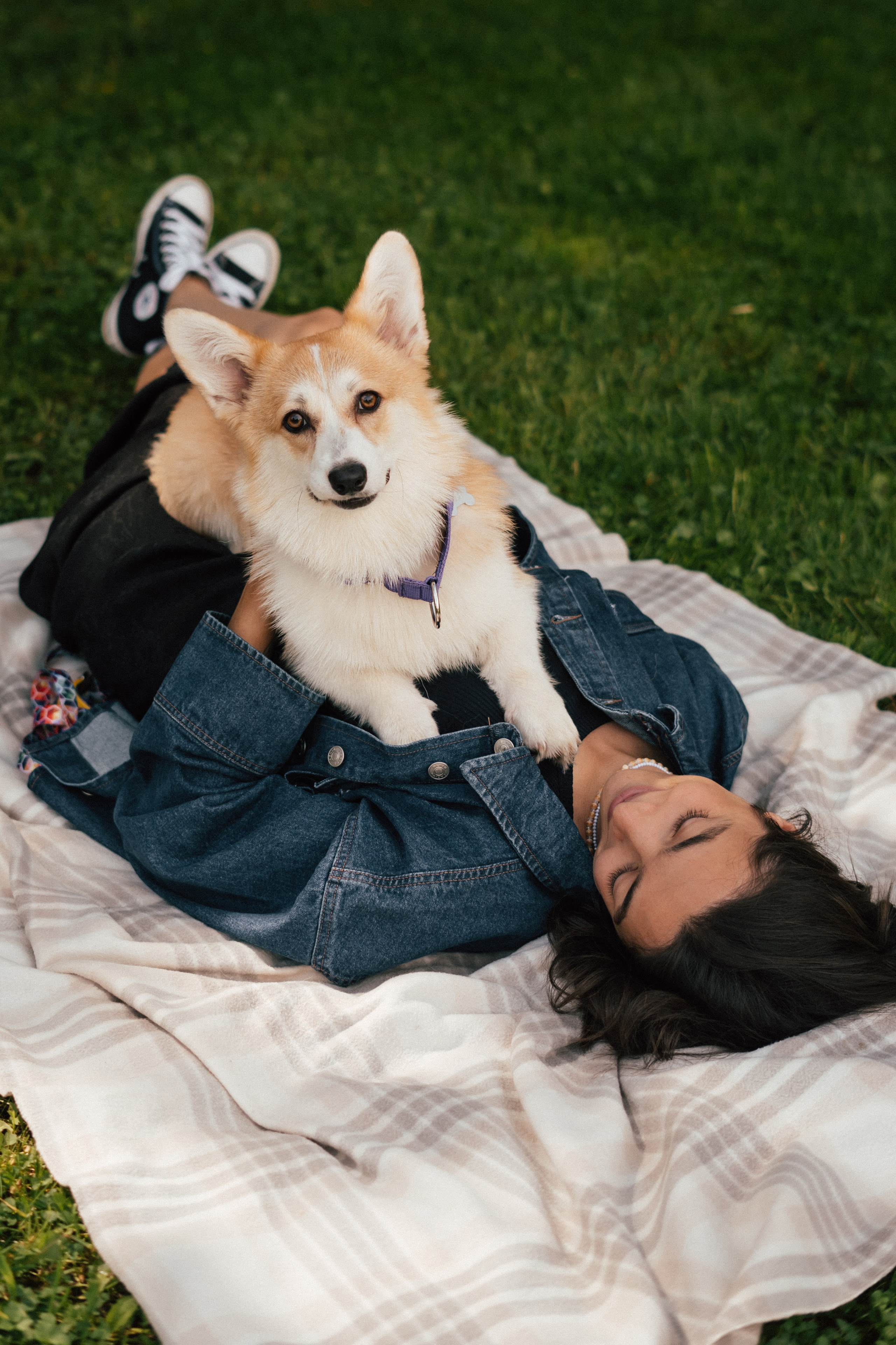 Фотосессия с собакой сахалин. Фотограф сахалин