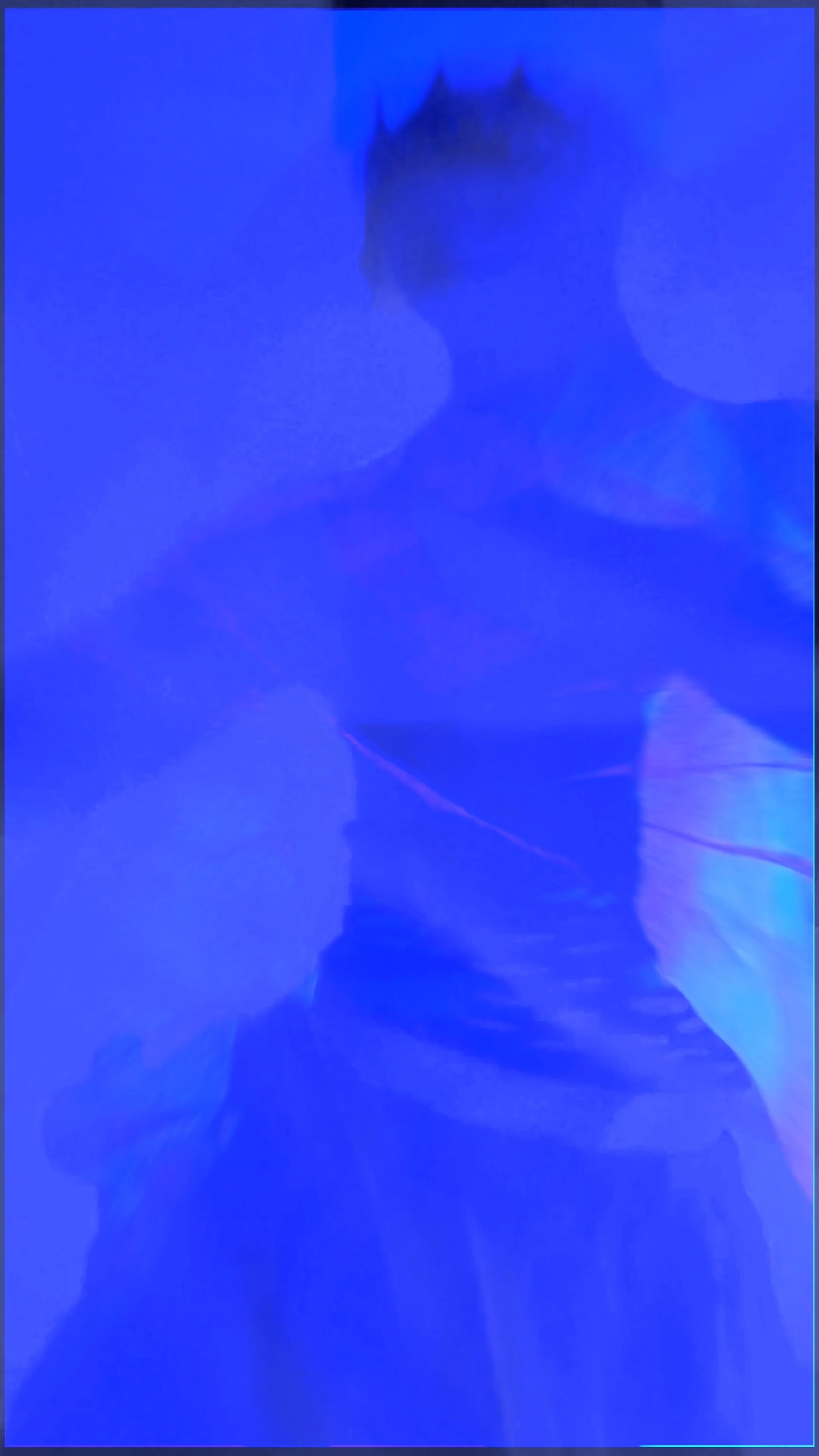 THE SAPPHIRE VEIL. Exclusive Closing Gifts for Top Realtors | Custom House Portraits by Yulia Yurchevskaya