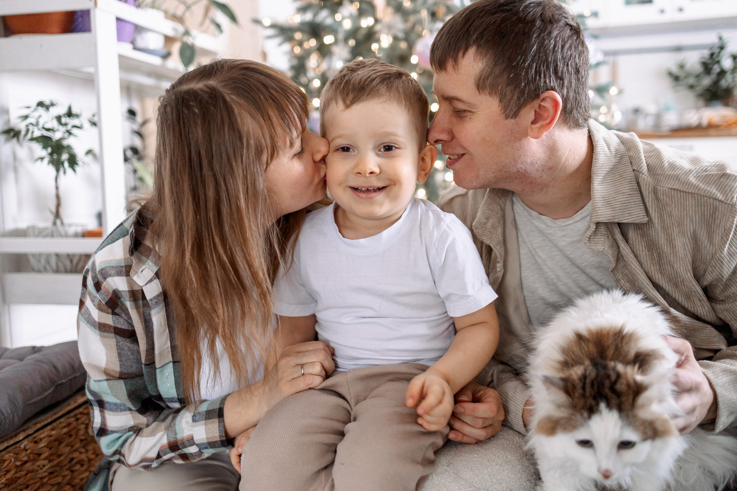 Домашняя новогодняя история