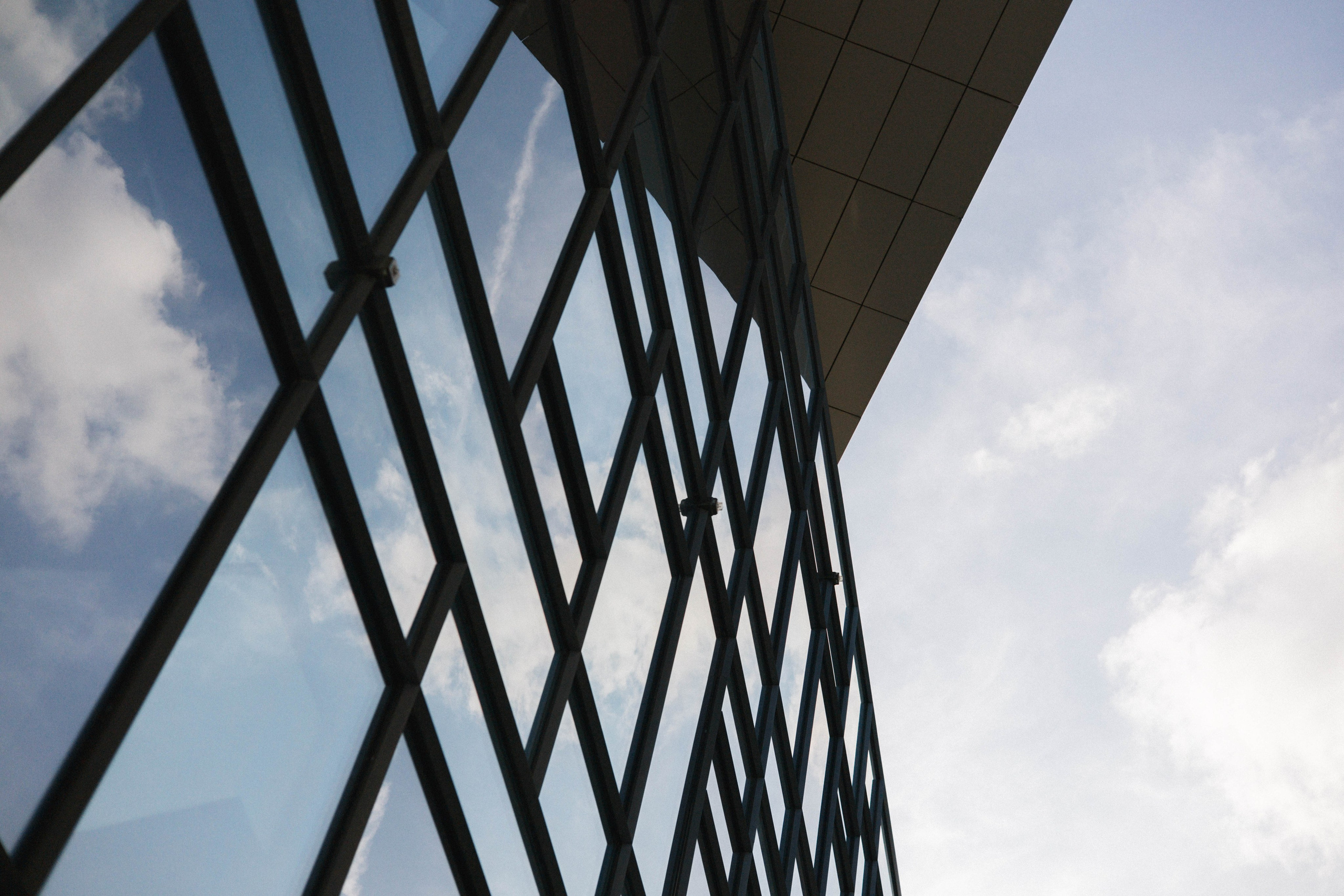 Репортажи / мероприятия. Свадебный фотограф в Москве Александра Соболева |Weddings, people, travel, etc