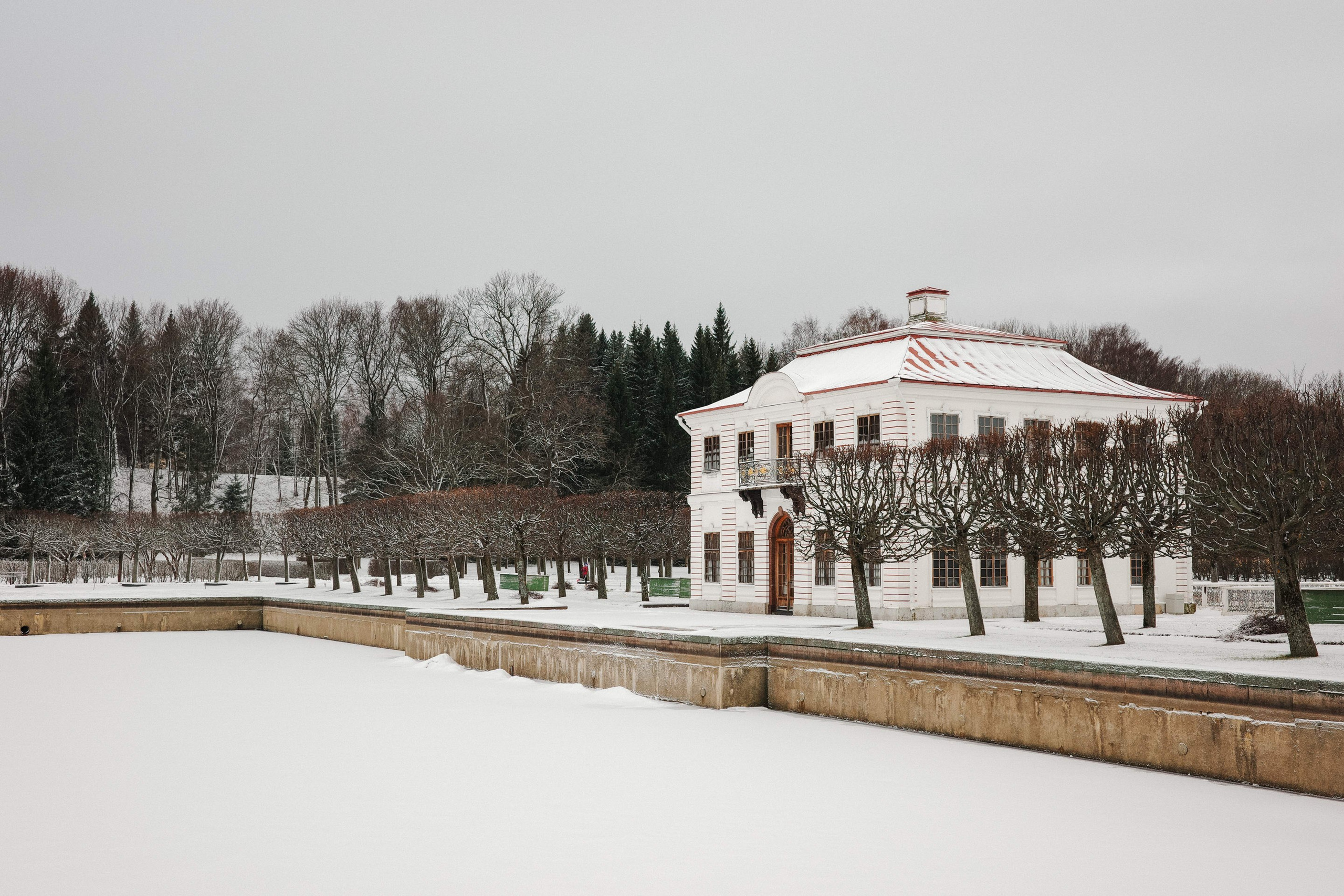 2025.02. Фотограф Алексей Алексеев