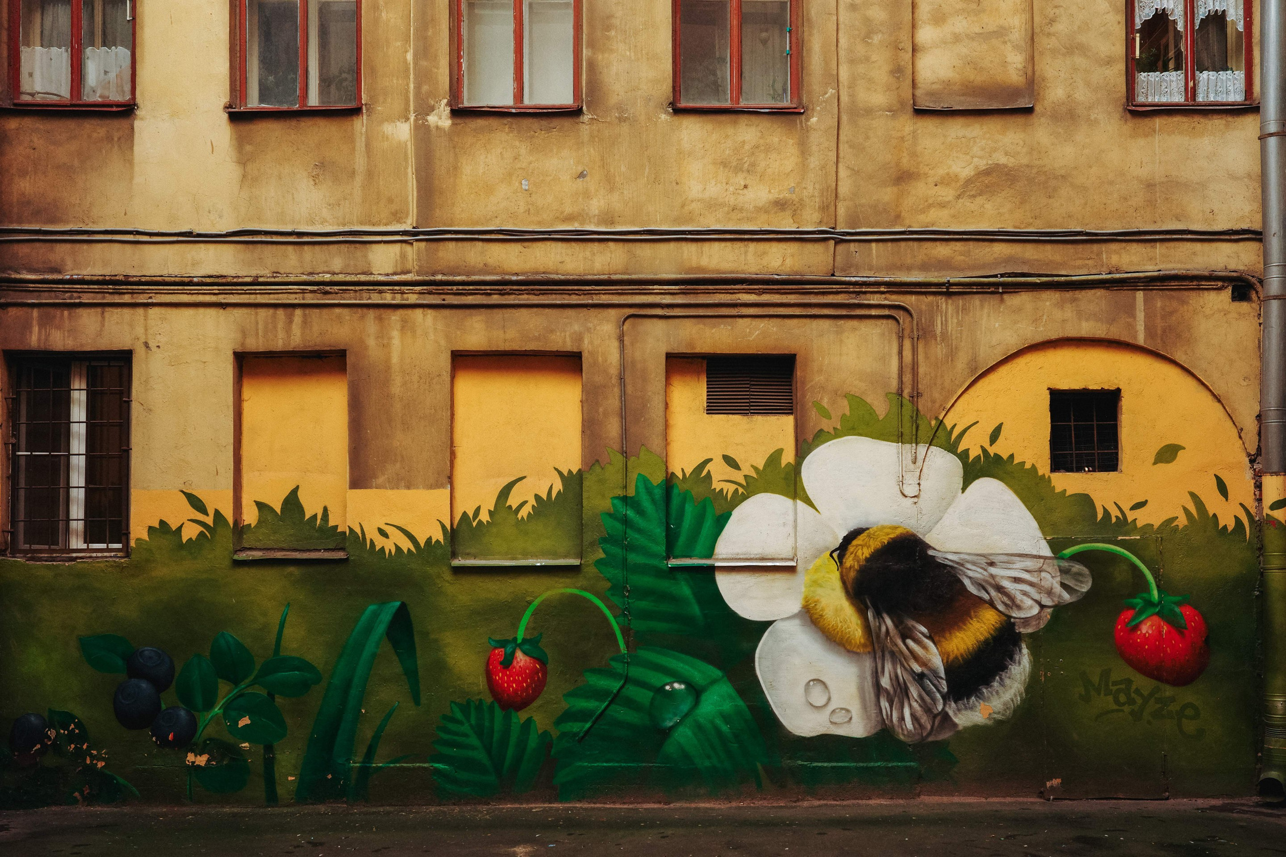 2024.08. Фотограф Алексей Алексеев