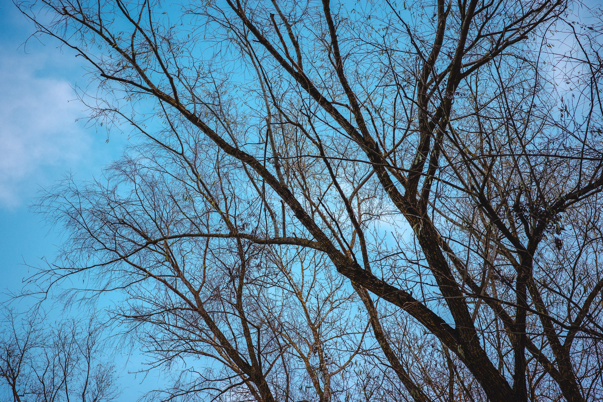 2023.11. Фотограф Алексей Алексеев