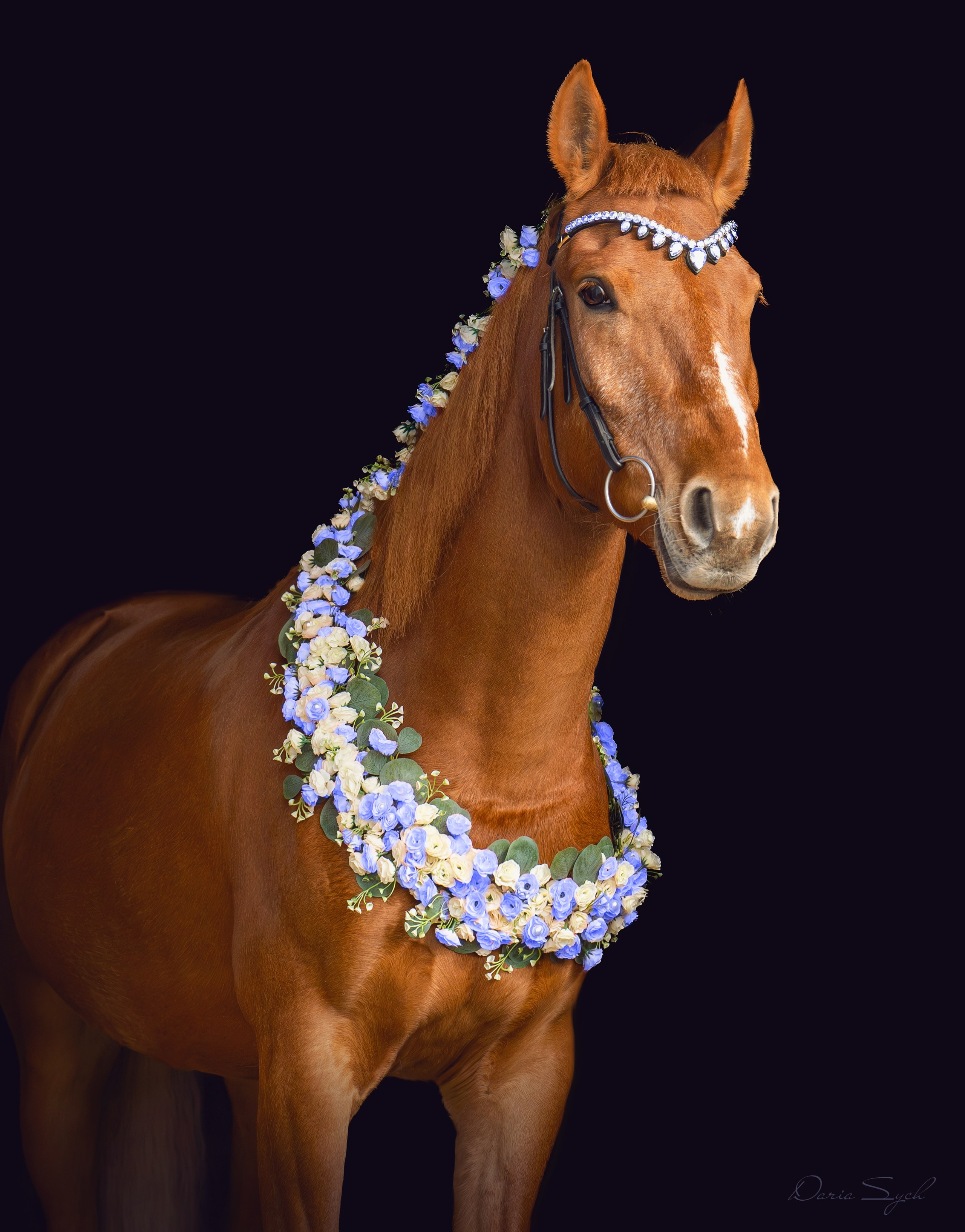 Весенний фото день. Фотограф Дарья Соколовская