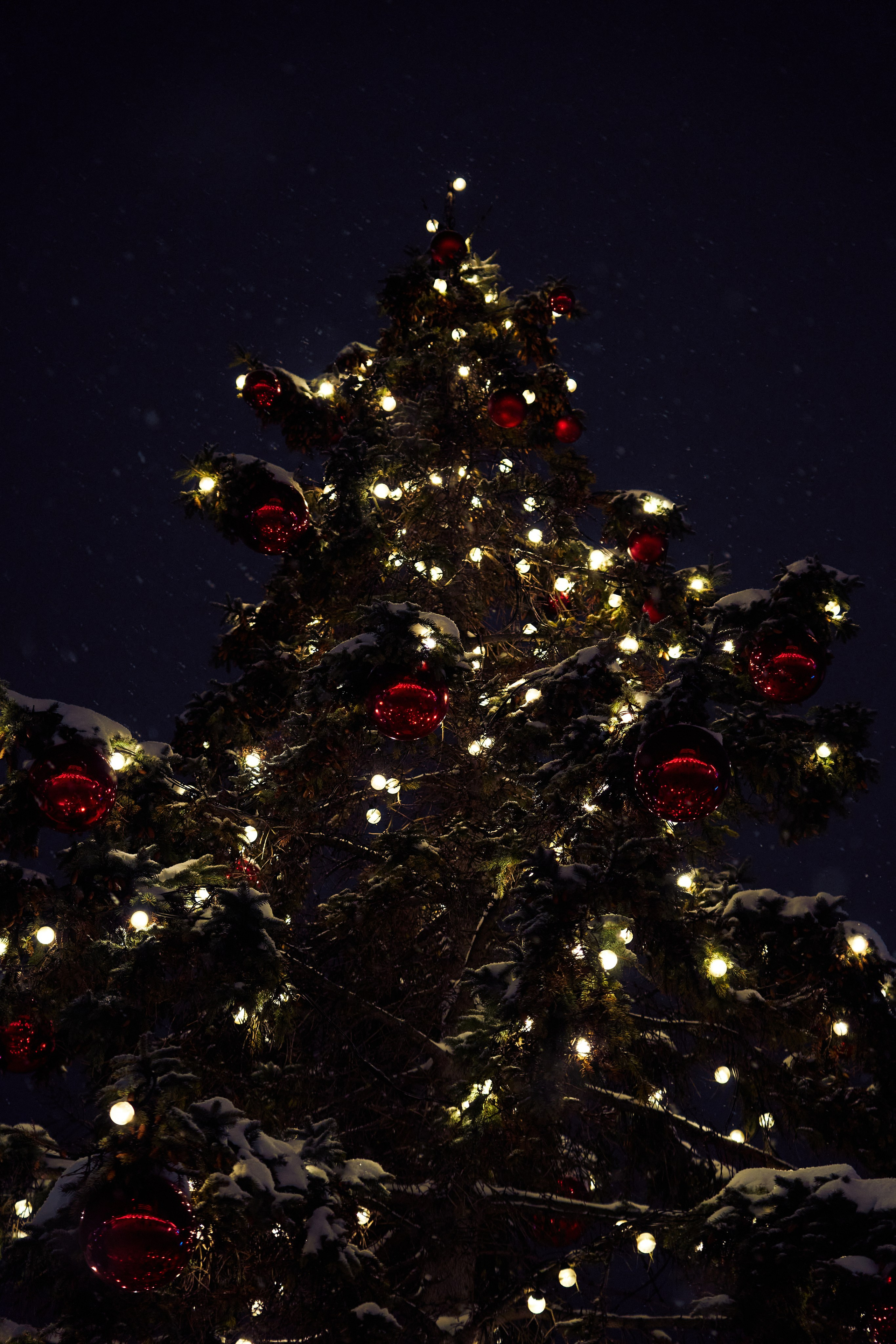 Москва | Зима 2025-206. GLAR