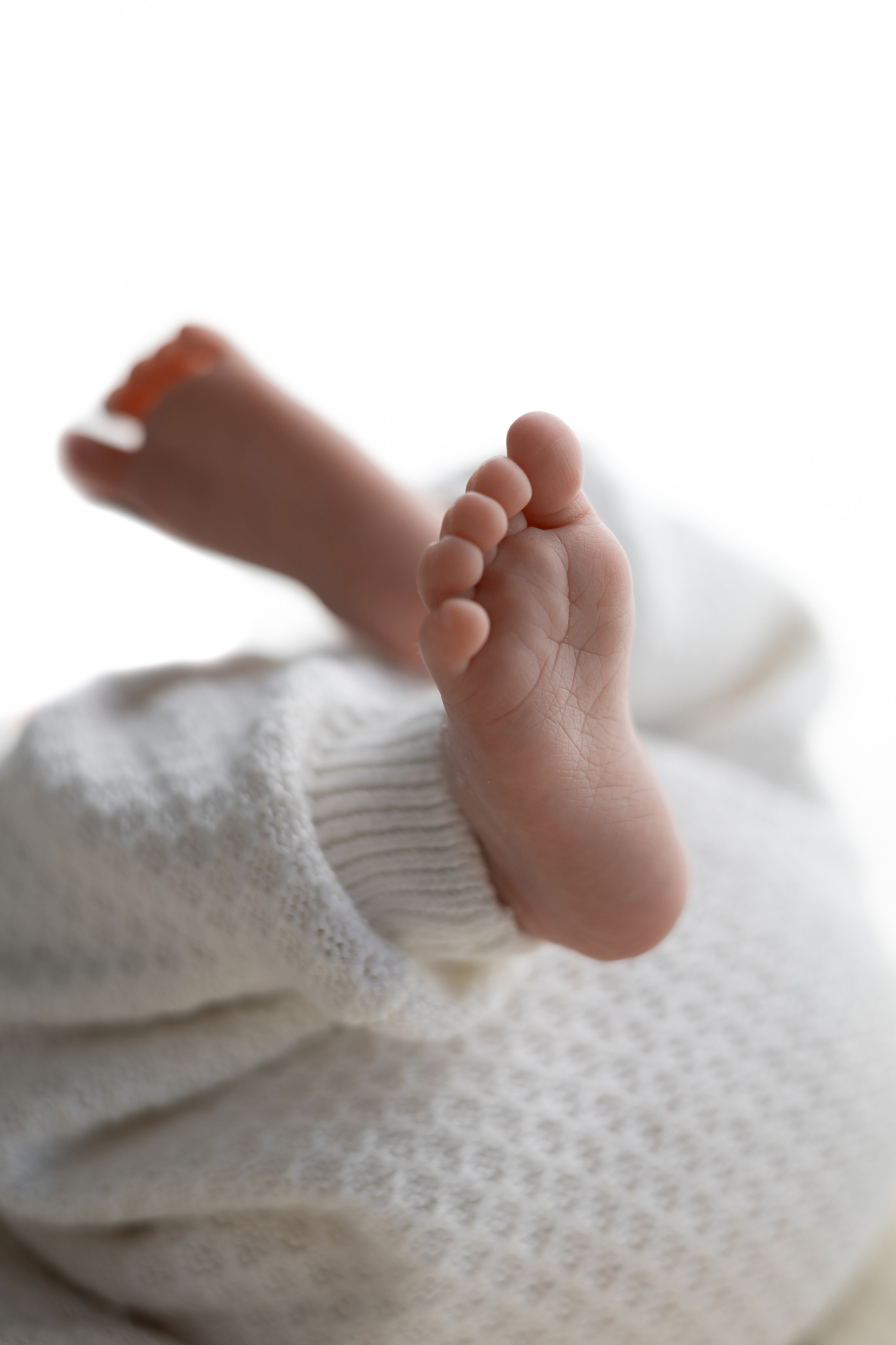 Лев. Лилия Алтухова — фотограф новорожденных в Москве и области