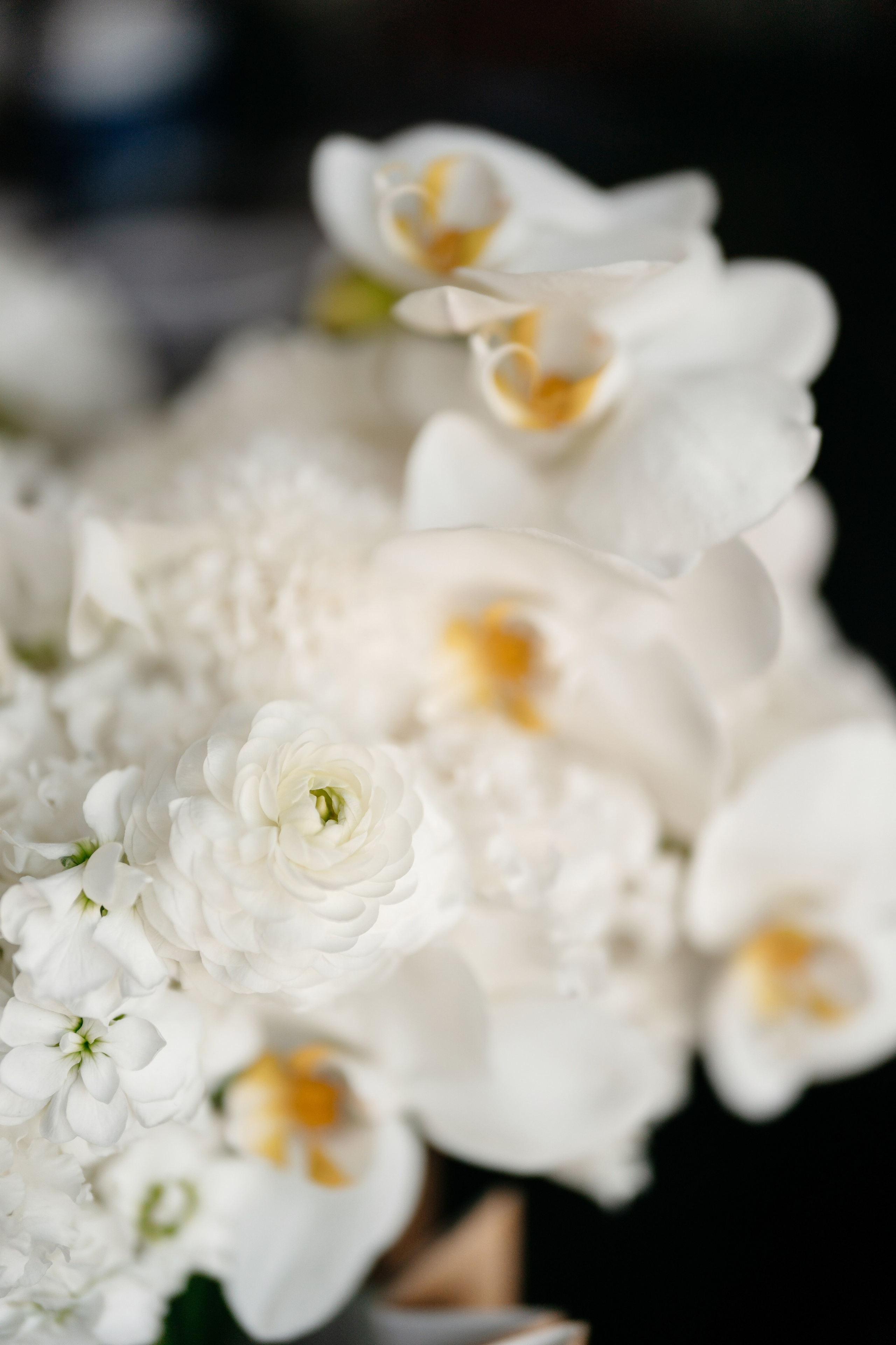 Леша и Маша. Свадебный и репортажный фотограф в Москве Андрей Вайман