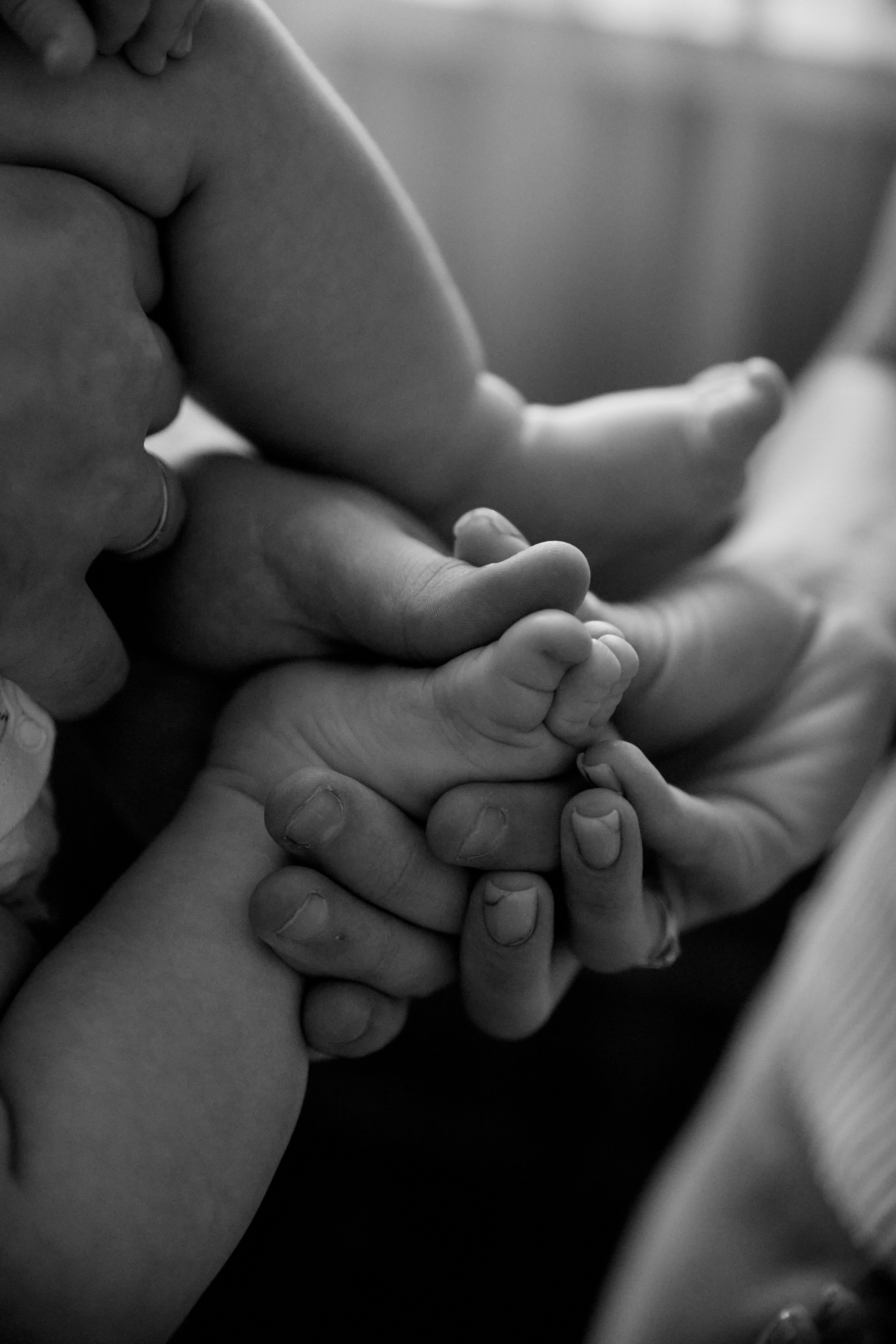 Александр Иван Анастасия. Свадебный и семейный фотограф