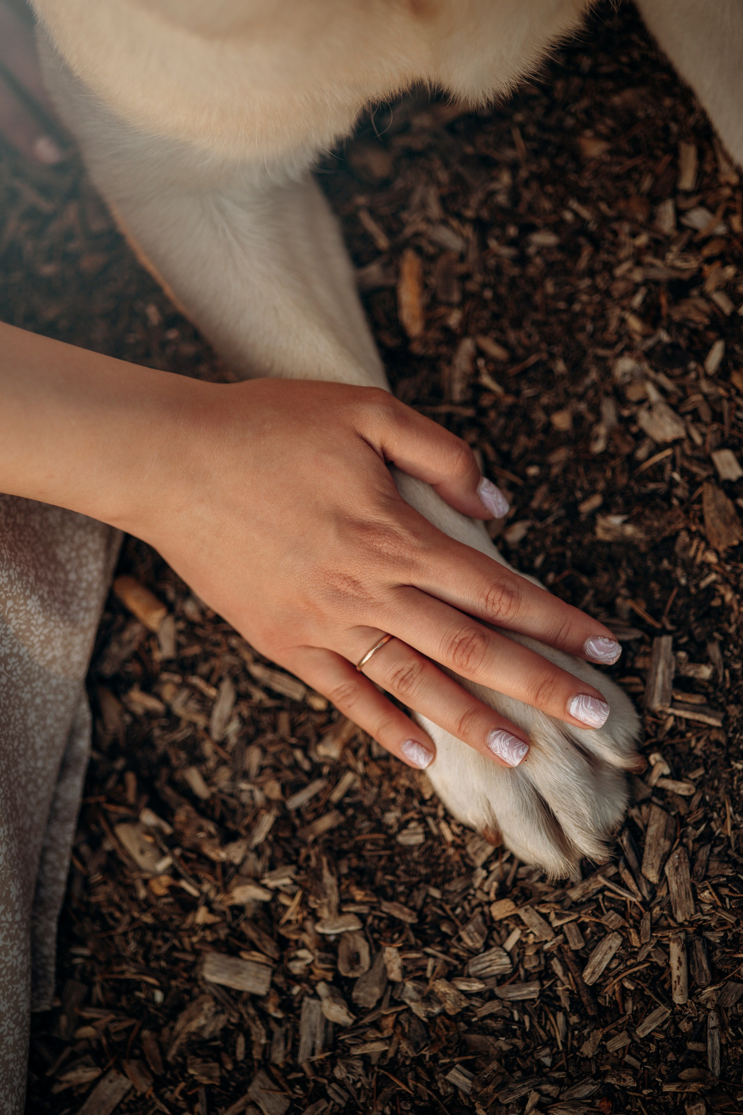 Шани и ее семья. Фотограф — Анималист | Санкт-Петербург