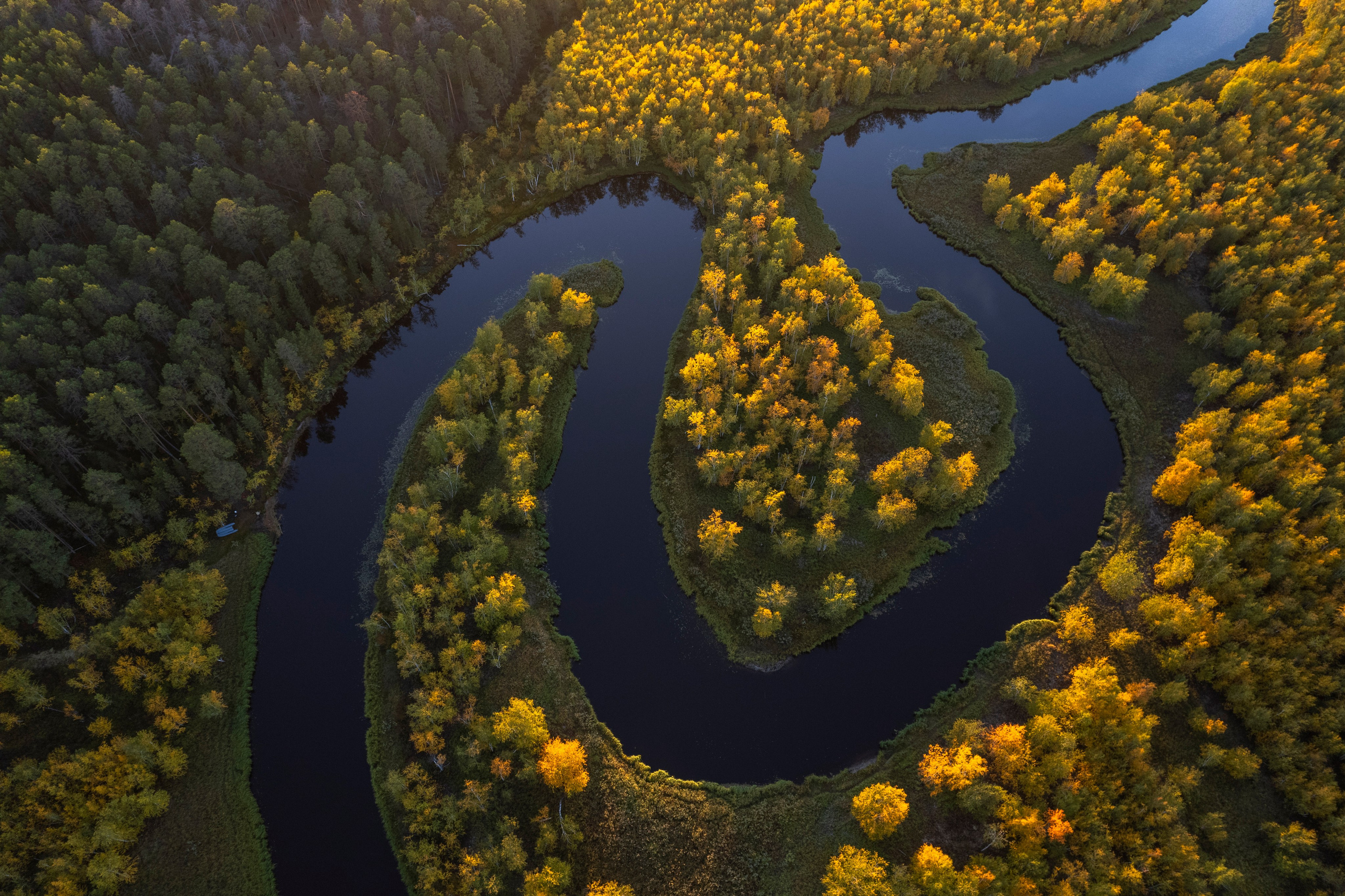 Портфолио. Фотограф Татьяна Борисова