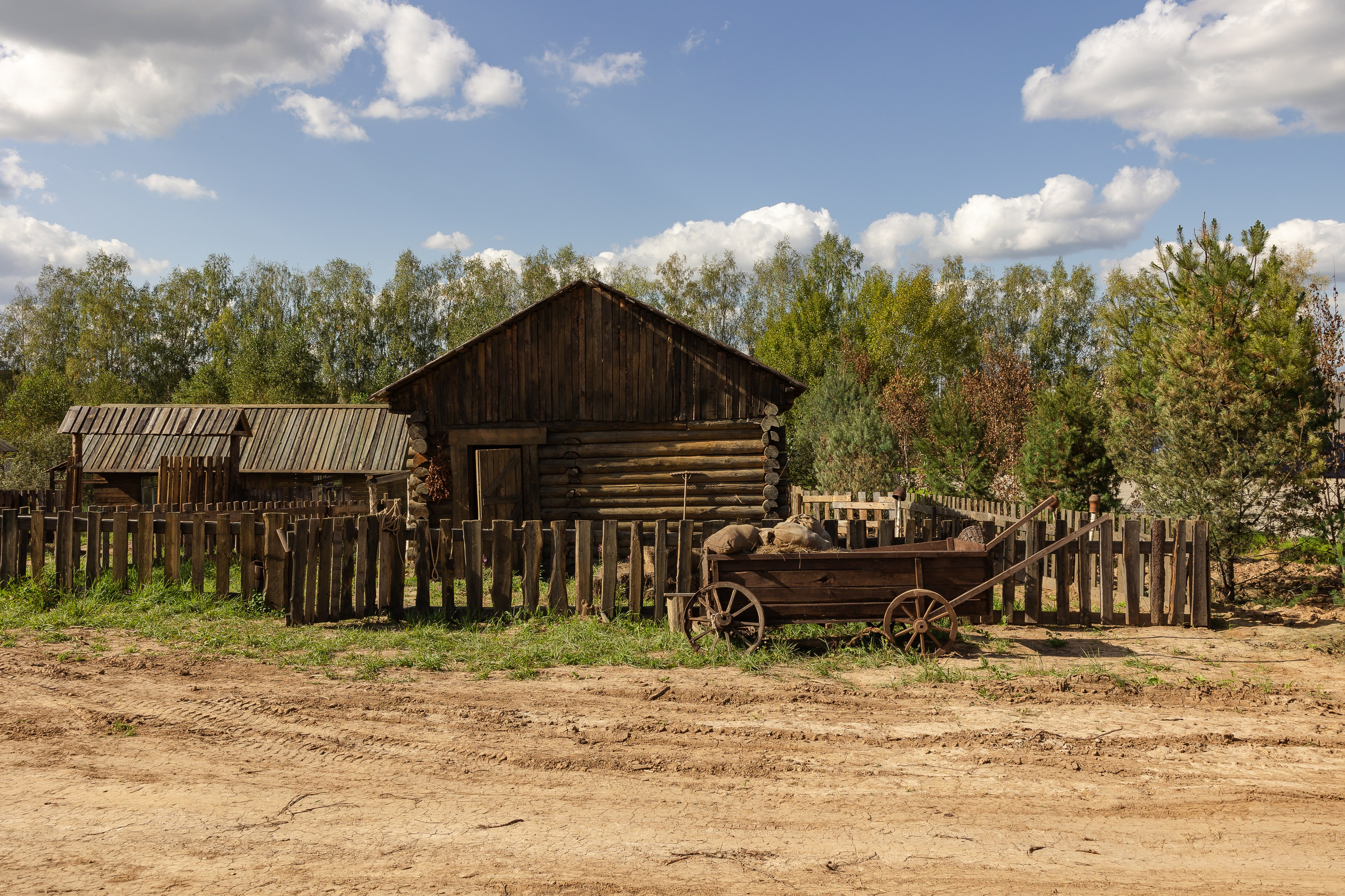 Кинопарк «Москино». Лисенкова Алиса — Фотограф, видеомейкер. Москва