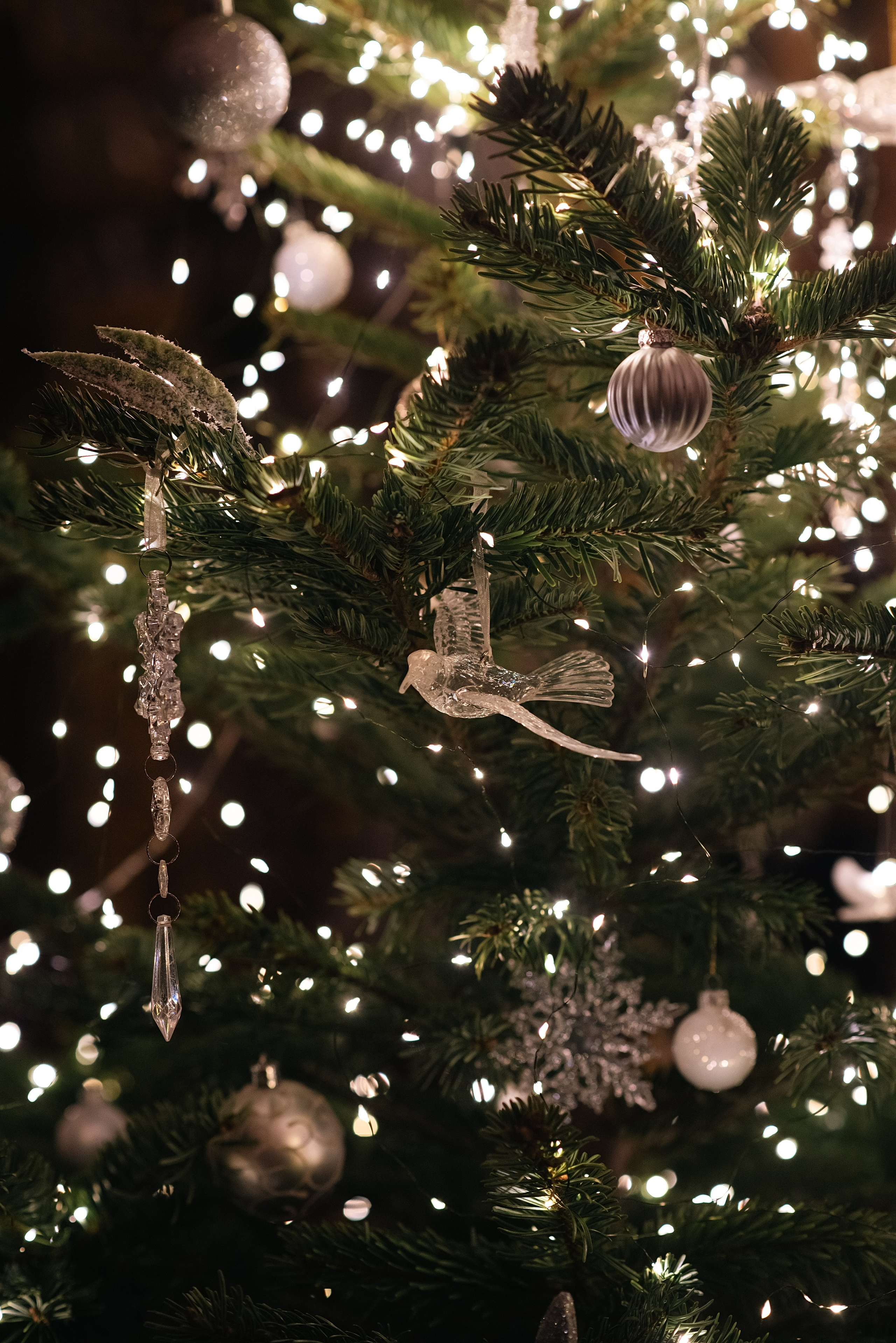 Рождество Христово 2026. Фотограф, визажист. Москва