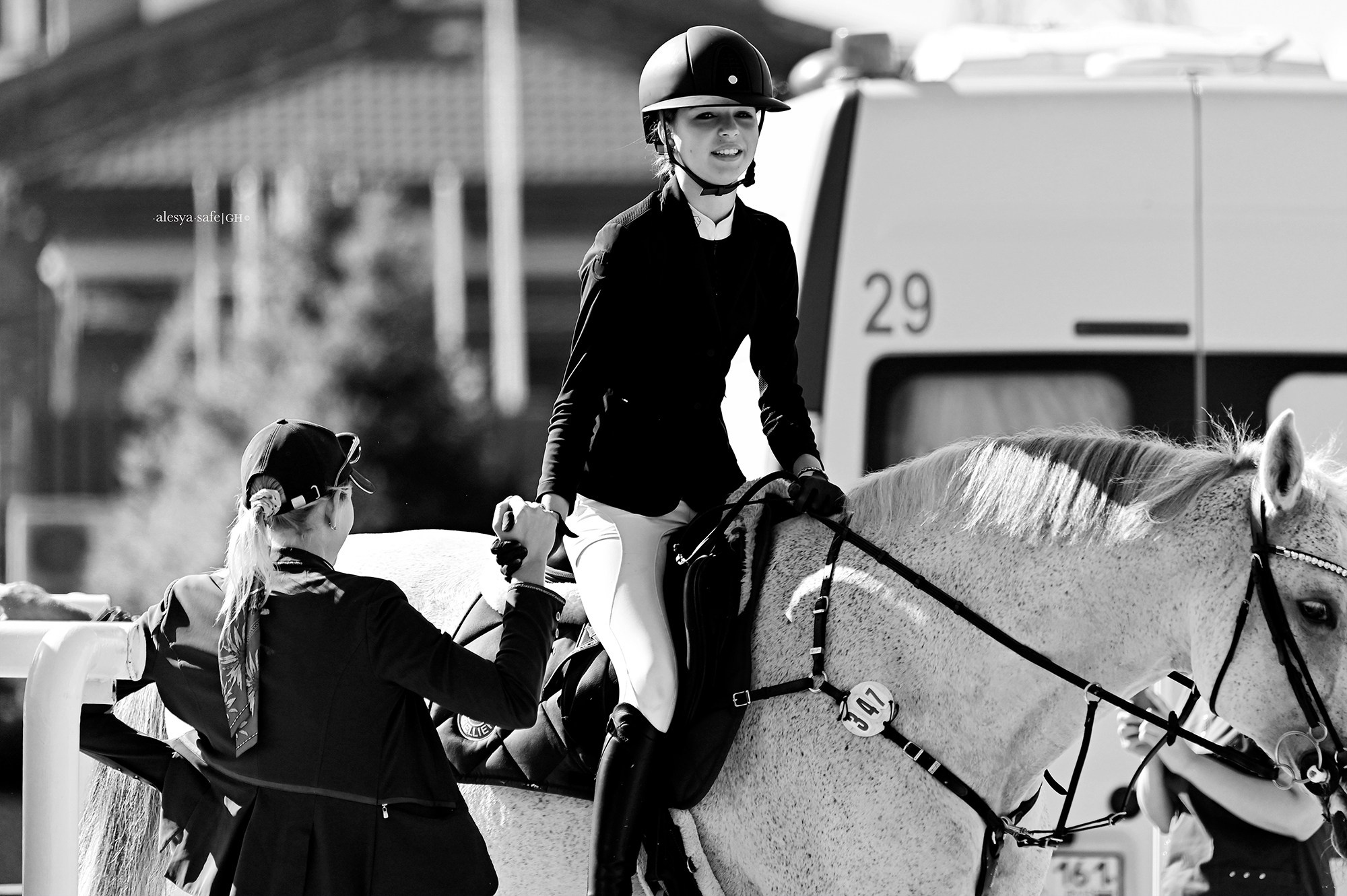 Голден. Конный фотограф Alesya Safe