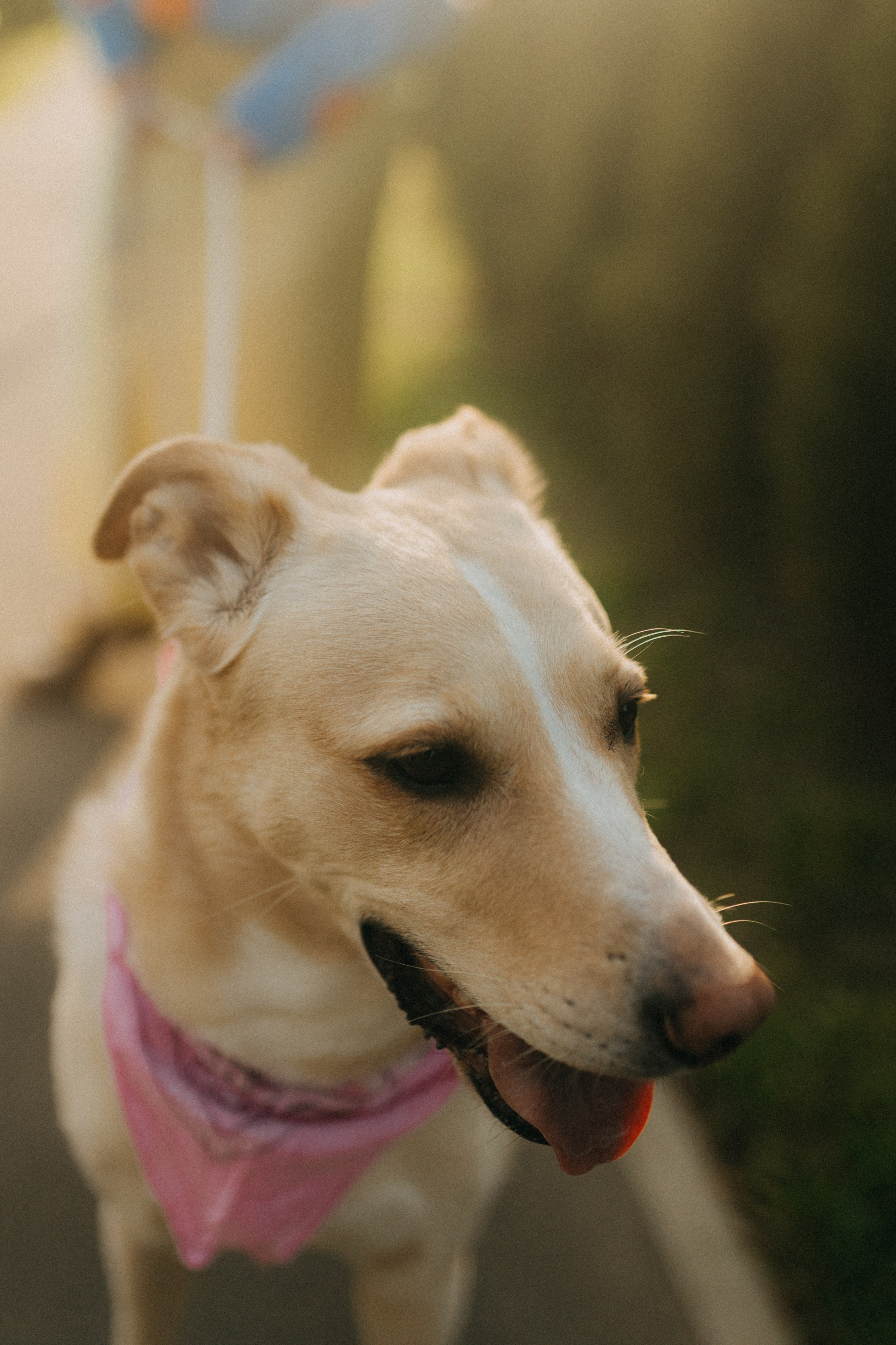 Настя, Давид, Рустам. Фотограф НОГИНСК, Москва, Анастасия Белая