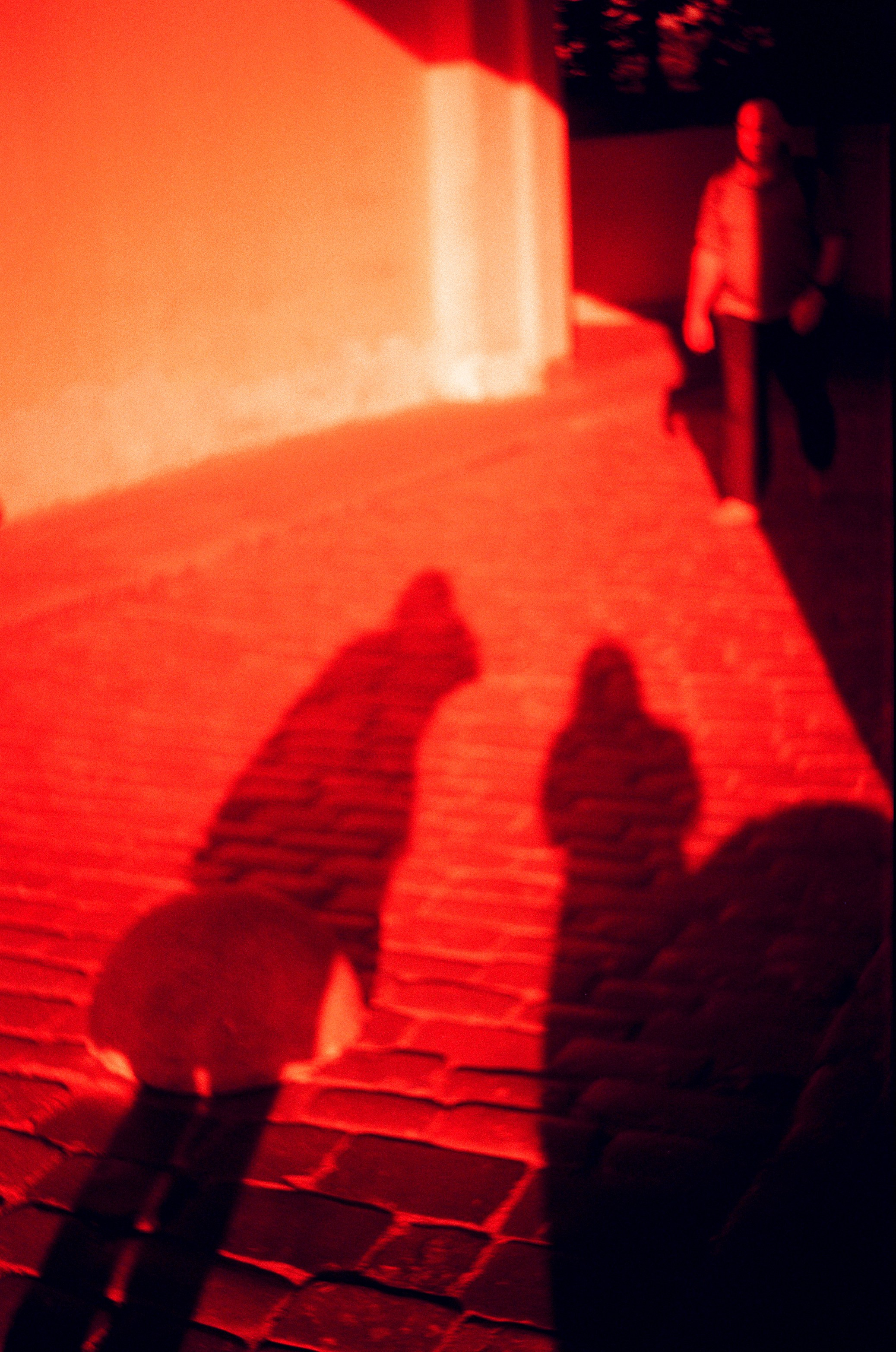 Redscale. Варвара Цымбал