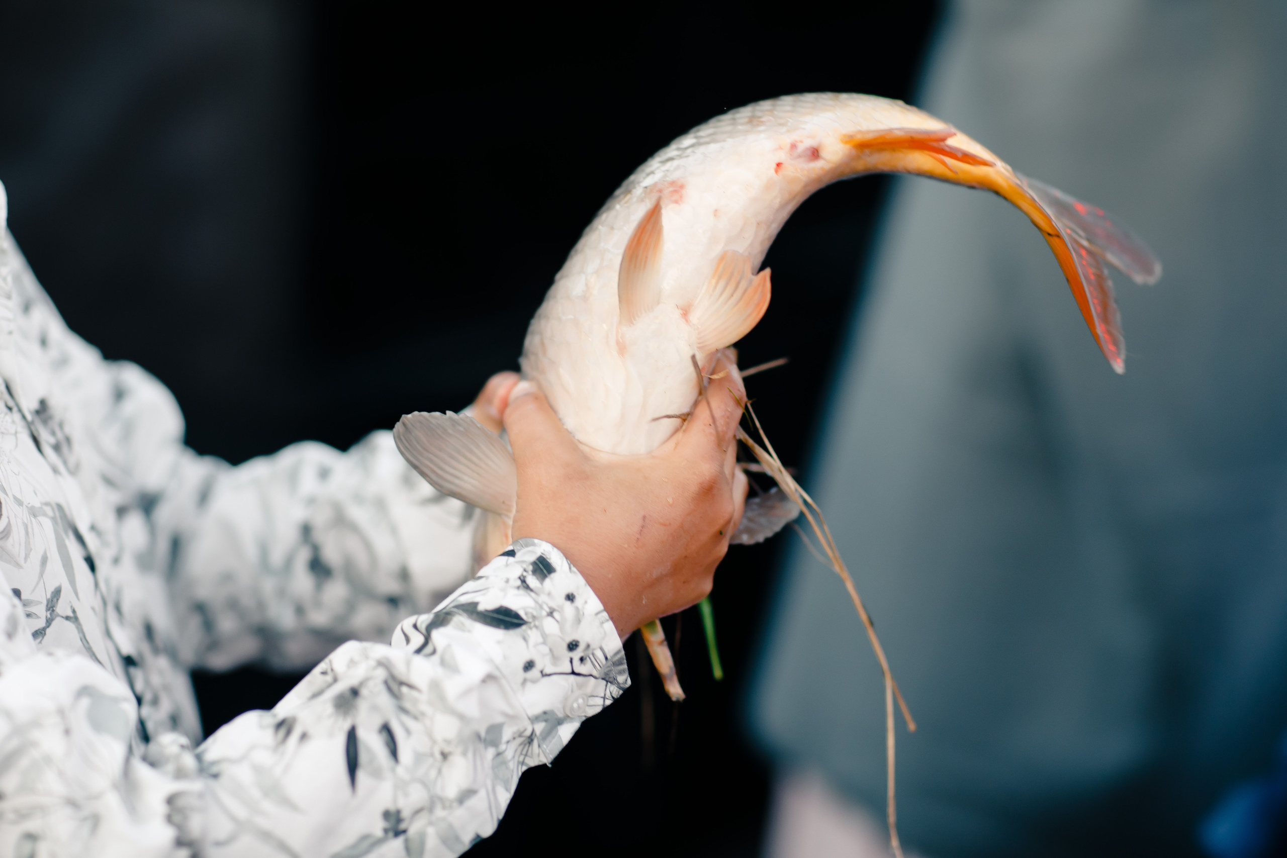 Гликерия и Дмитрий|Ранчо. Свадебный фотограф Серпухов — Москва Ольга Васильева