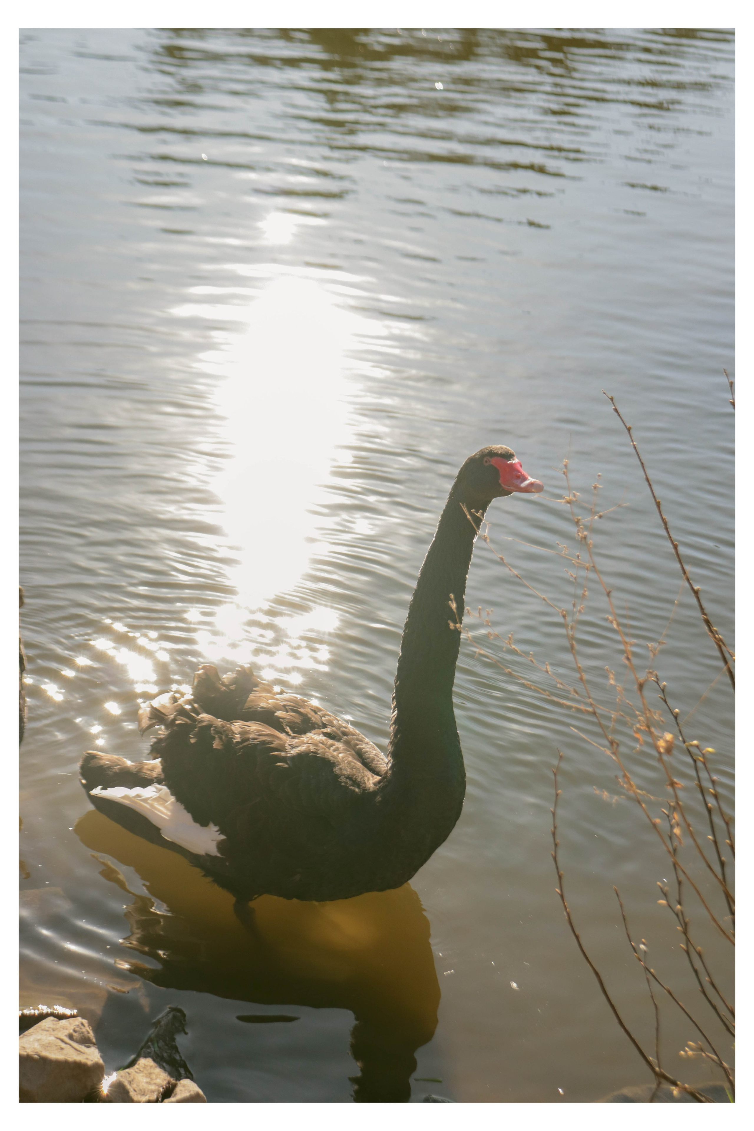 Альметьевск. Фотограф и видеограф в Бугульме Аня Трутнева