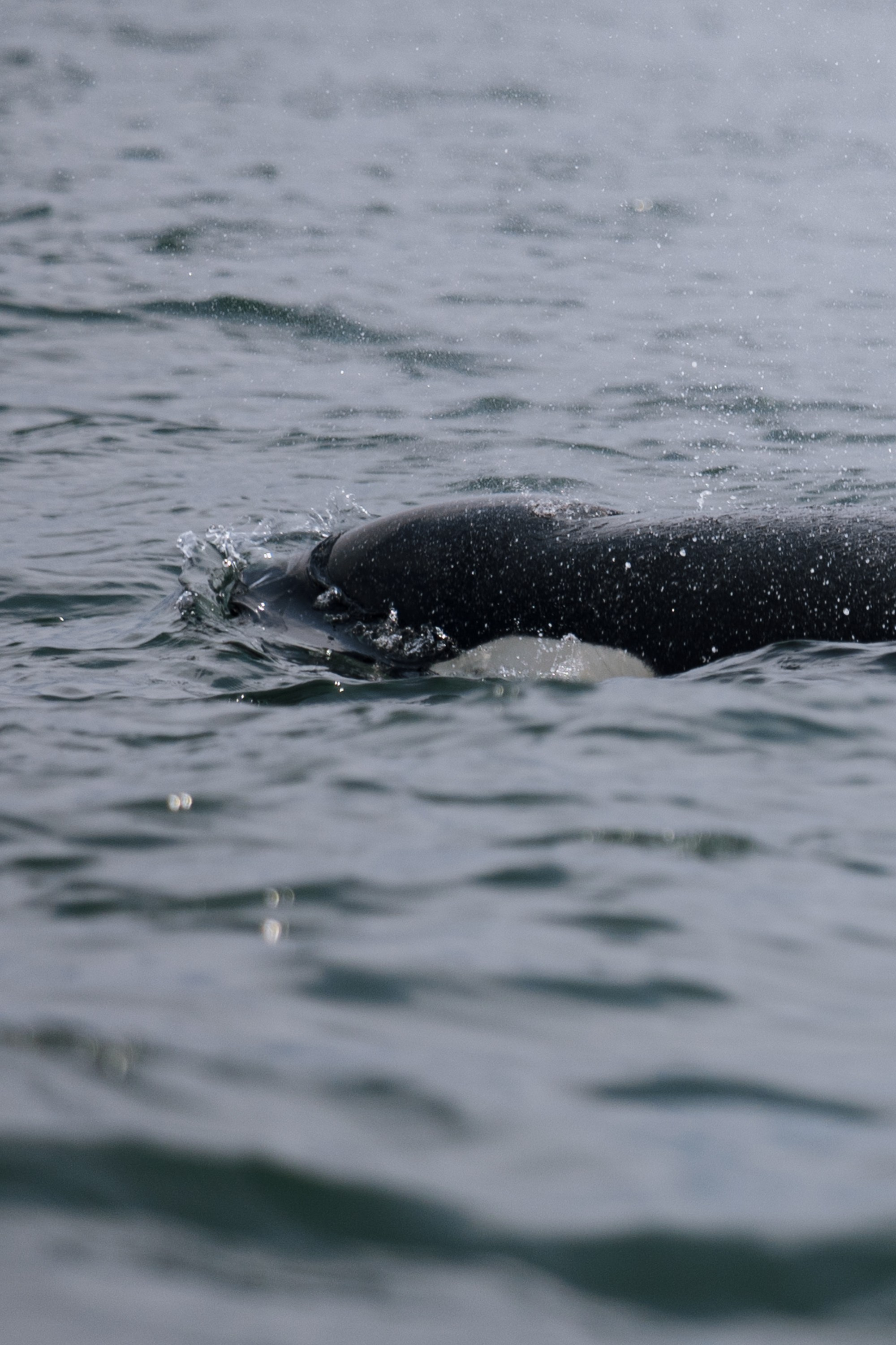 Репортаж туризм. Фотограф на Камчатке