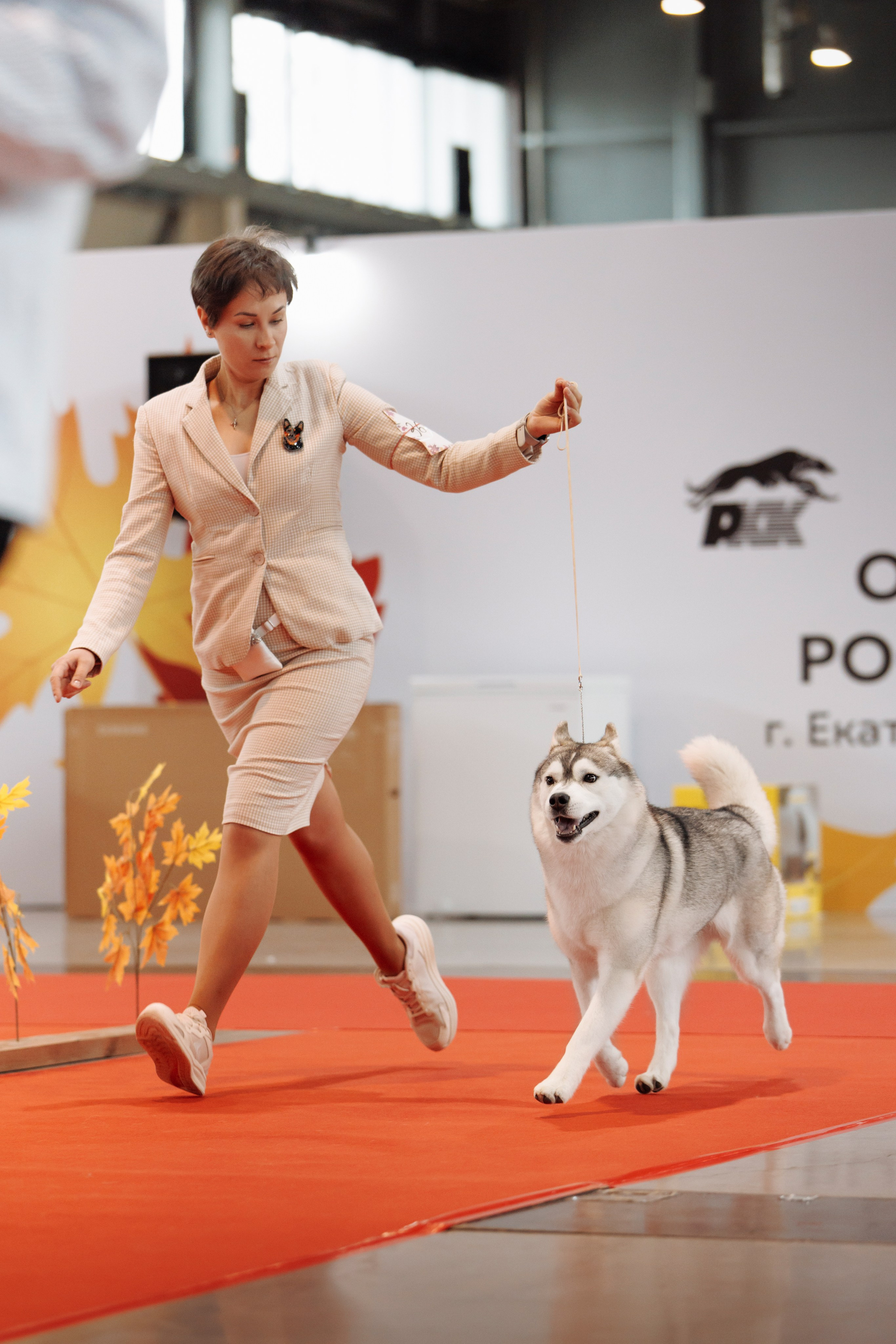 18/19.10.2025 — Екатеринбург. Фотограф-анималист Саша Вязьмина