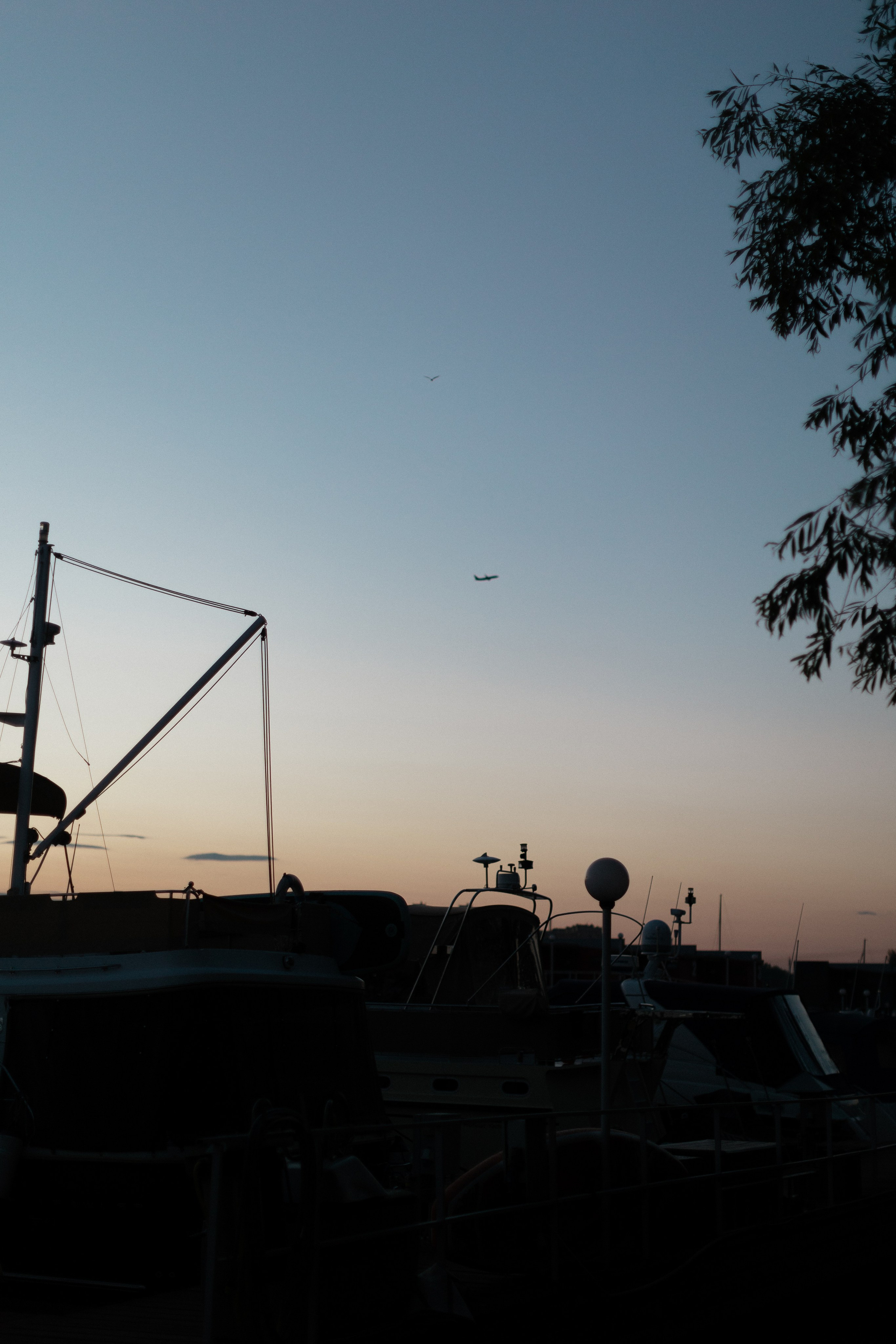 Полина и Рома. Портретный фотограф Арсения Теплова