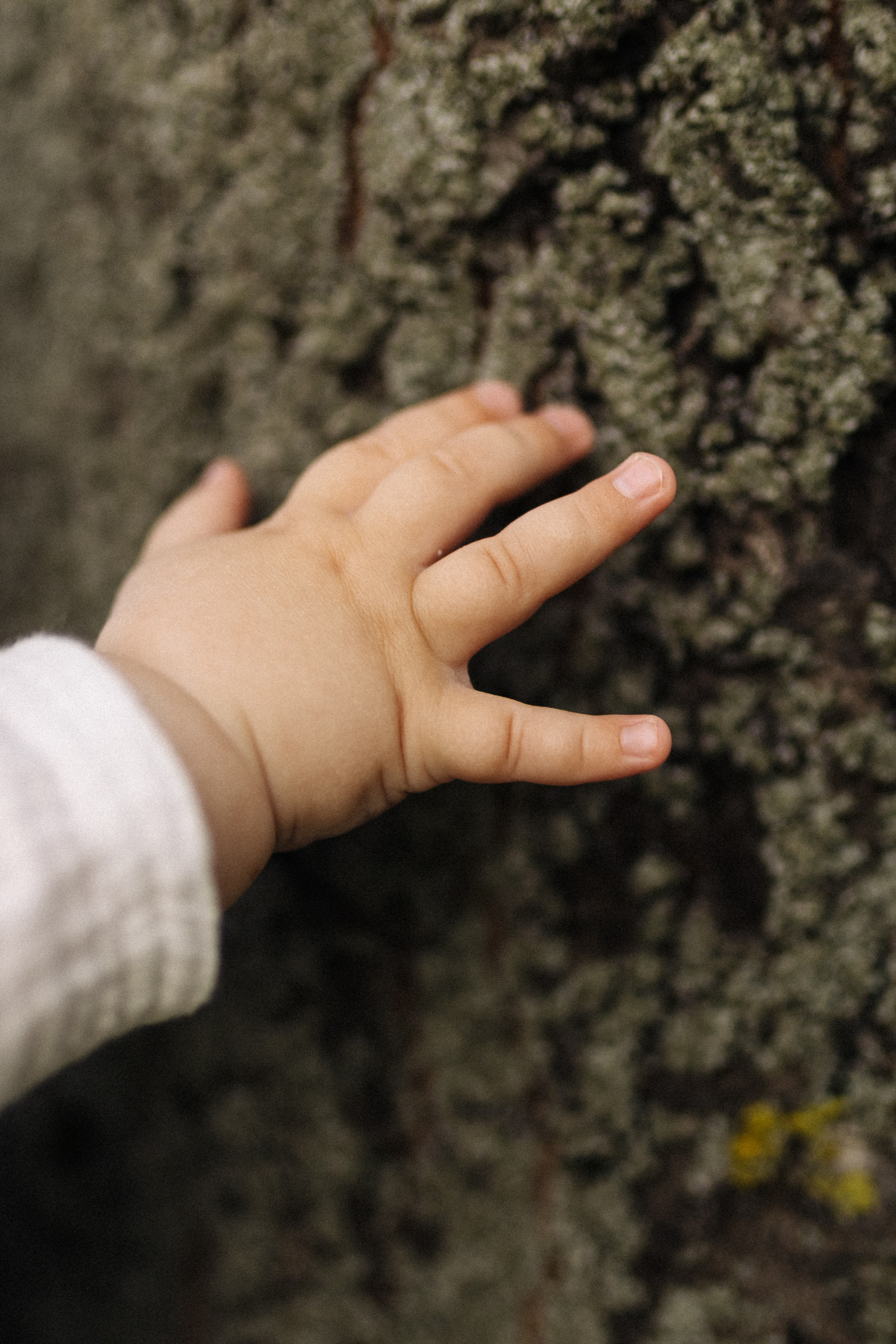 Прогулка с малышом. Фотограф Анастасия Бачурина Москва/ Спб