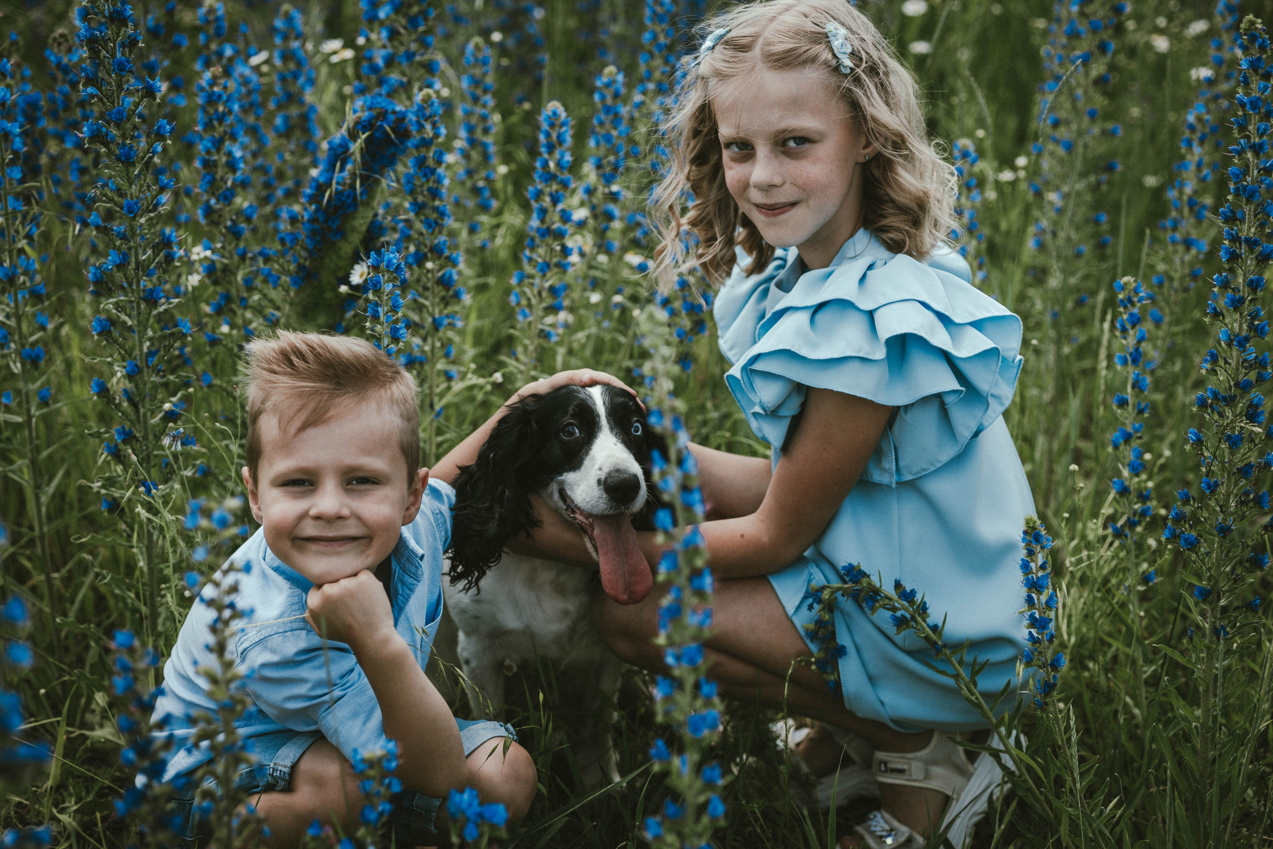 В ожидании чуда Алёна & Сергей, дети и собака. Коммерческий фотограф