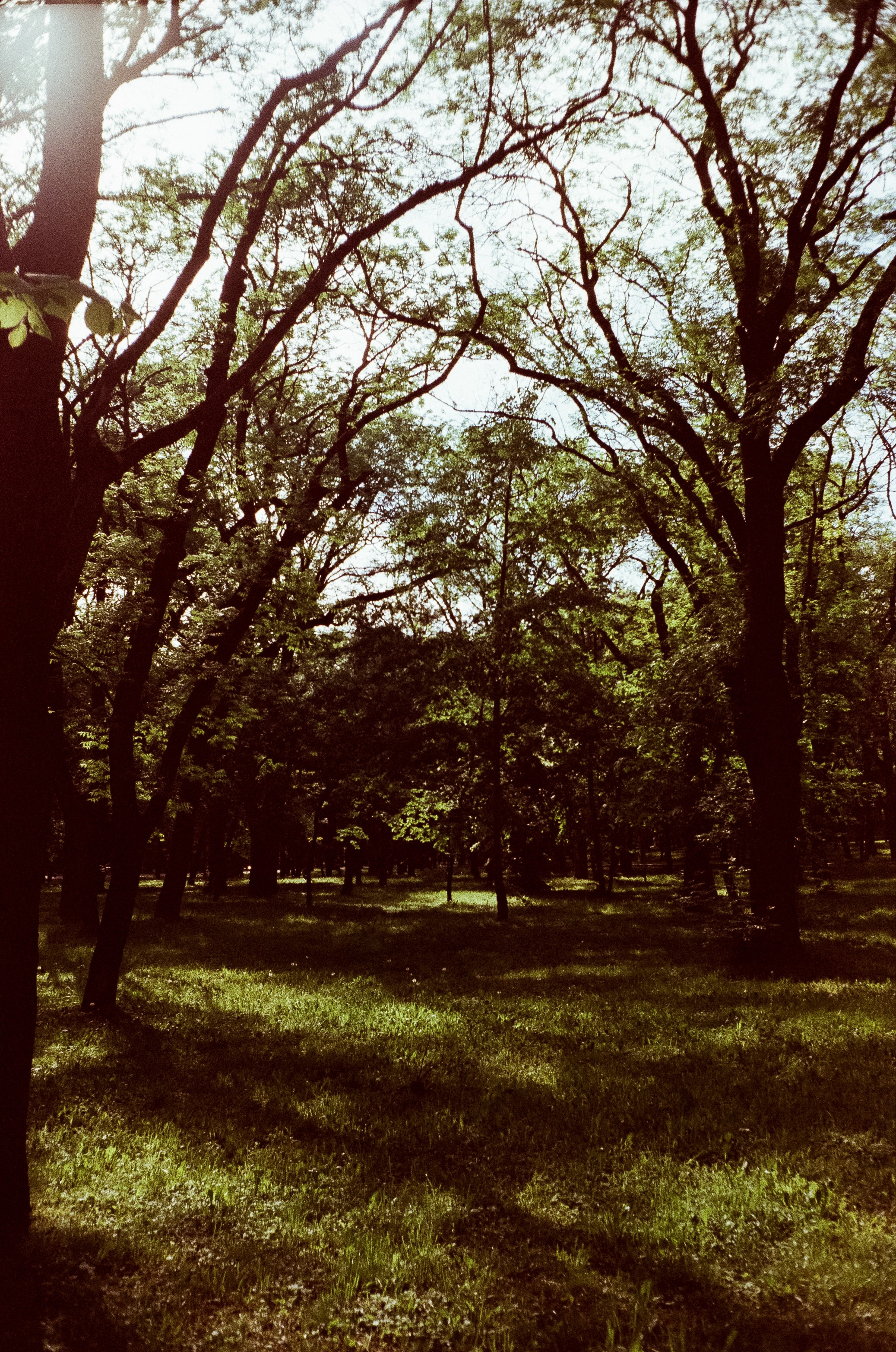 Ессентуки прогулка по городу / Minox 35GT / Agfa Vista 400 (просрочка)