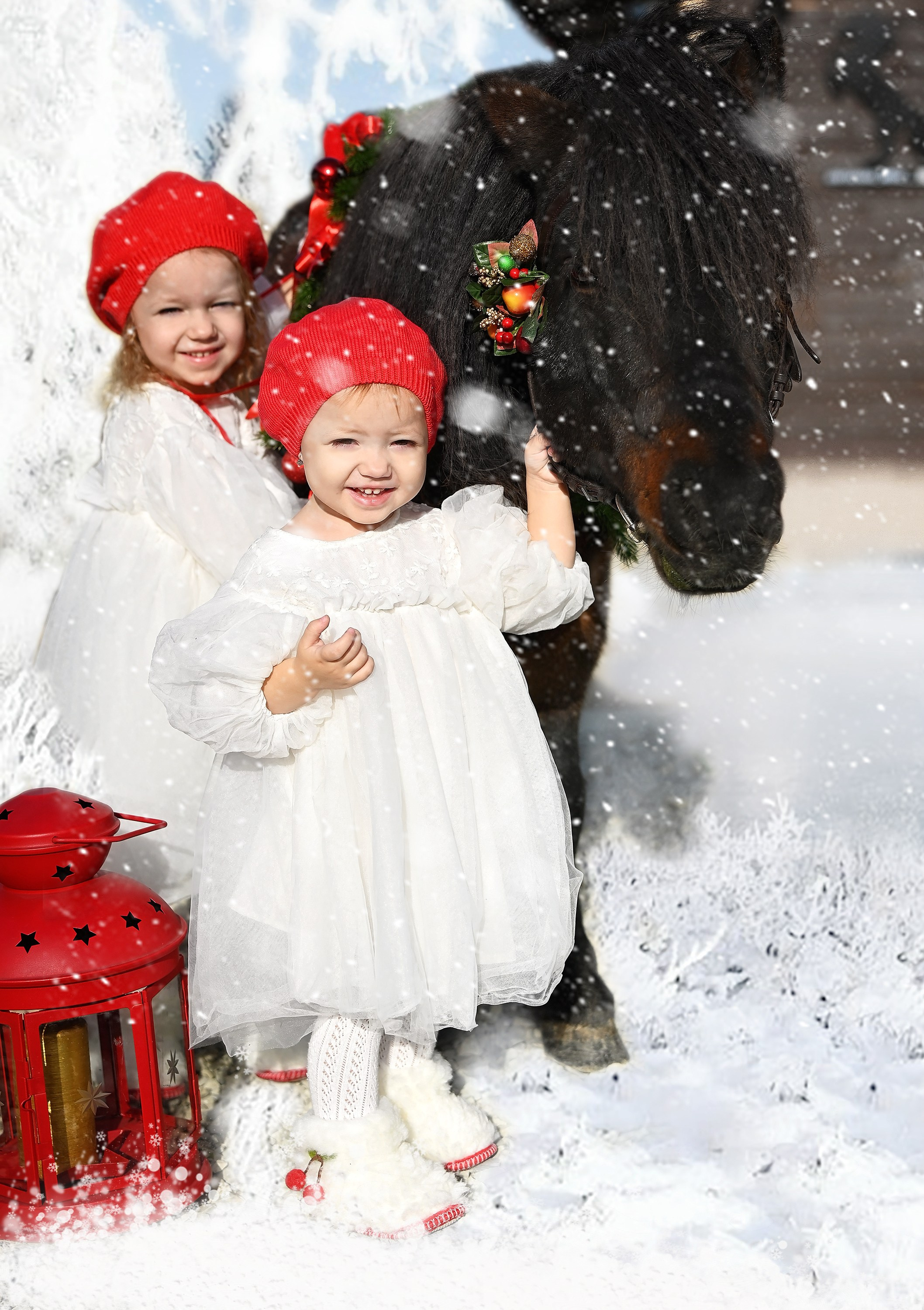 Лошади. Главная