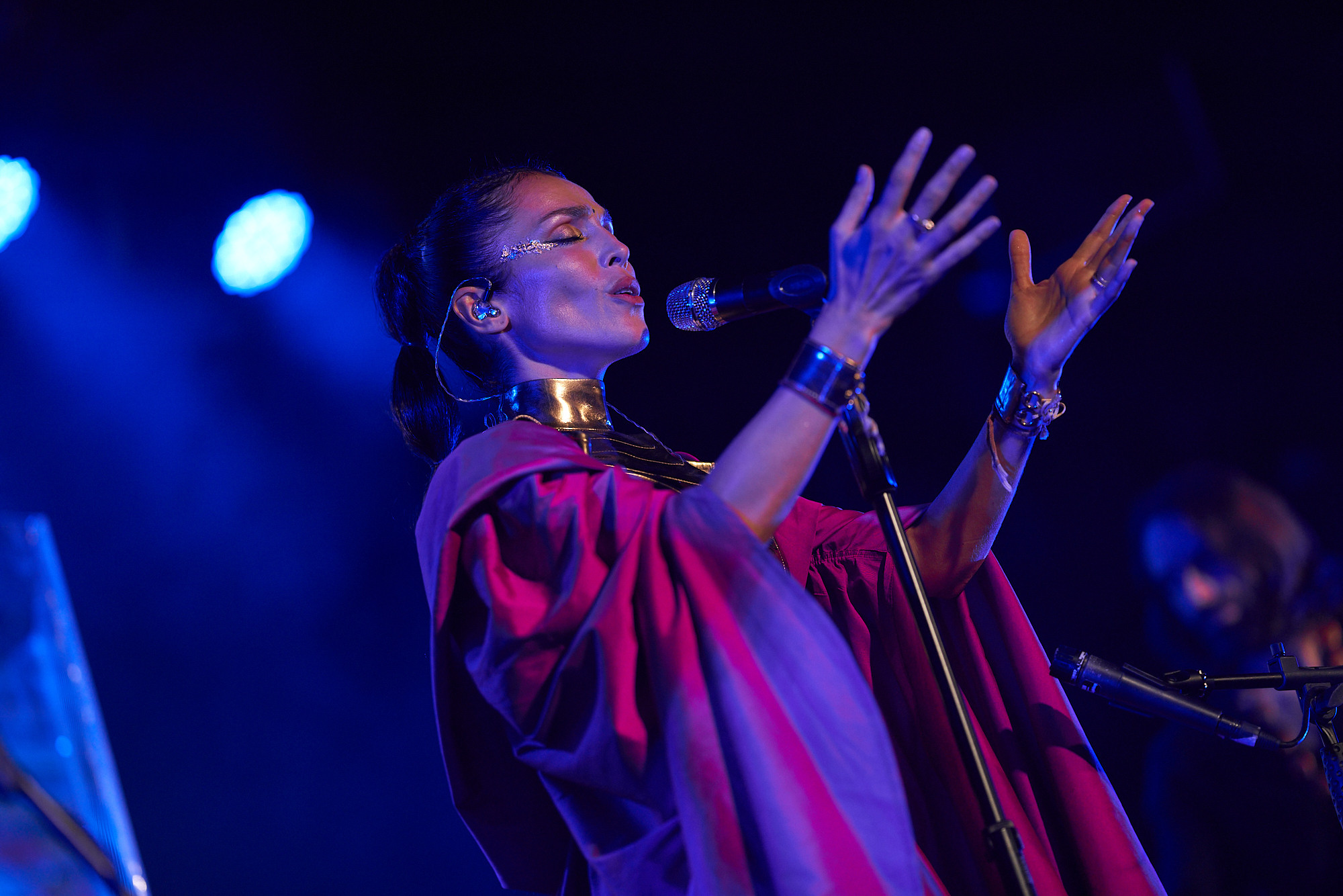 Концерт Сати Казанова. Фотограф Мещанин Юрий