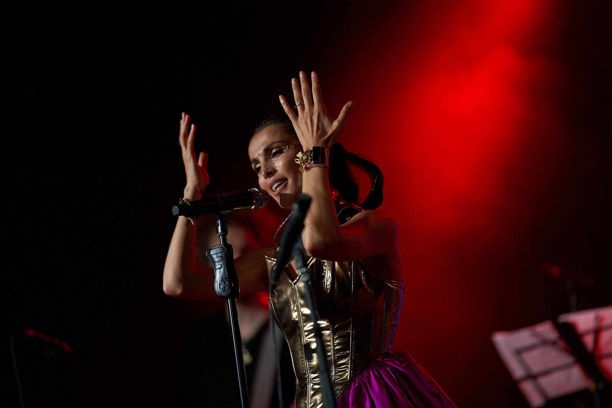 Концерт Сати Казанова. Фотограф Мещанин Юрий