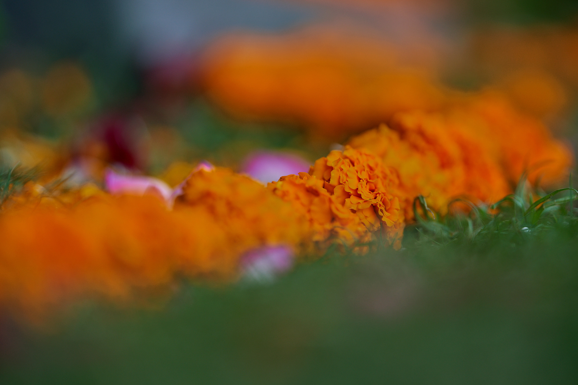 Ecstatic Dance с Сати Казановой. Фотограф Мещанин Юрий