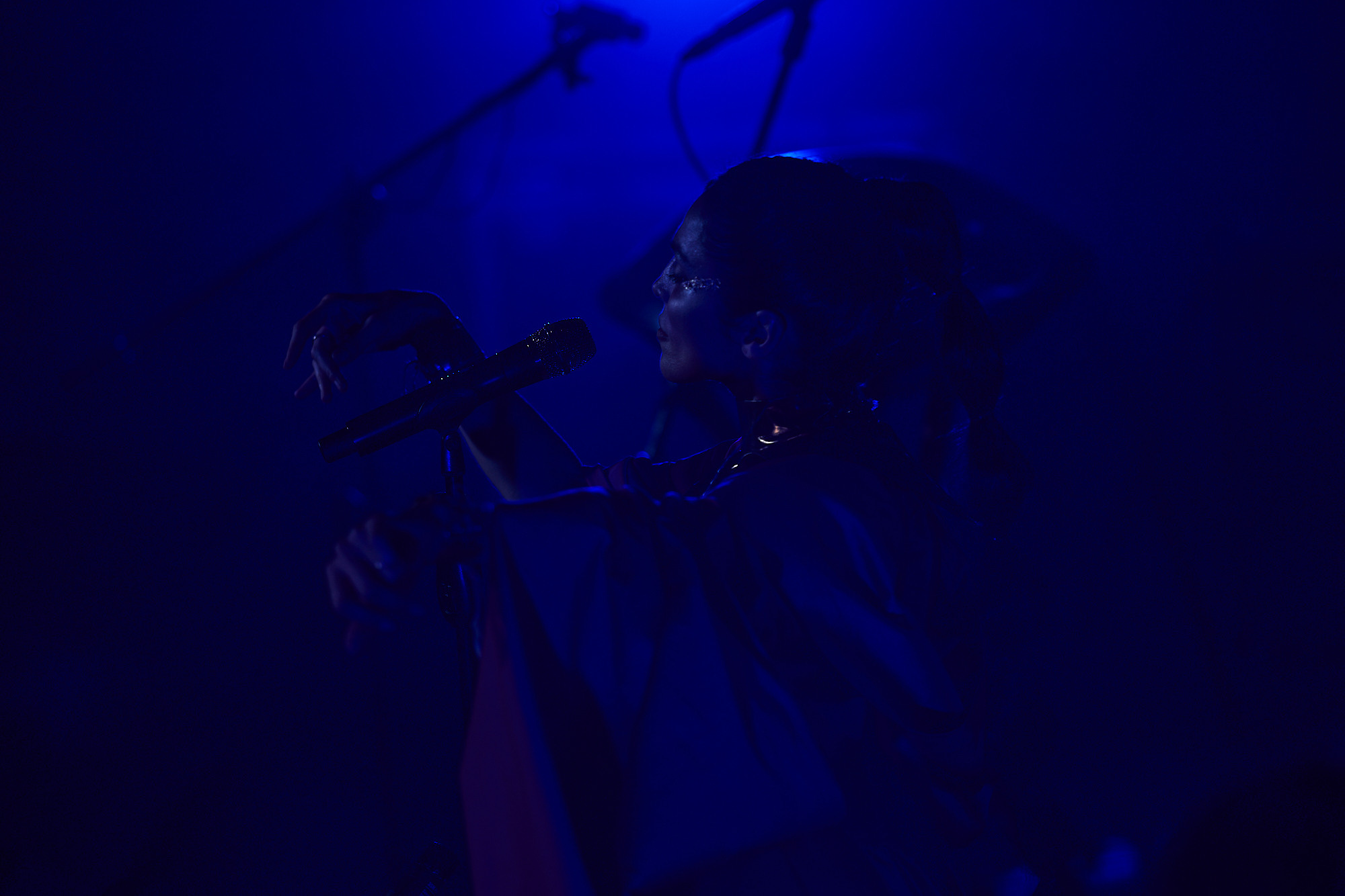 Концерт Сати Казанова. Фотограф Мещанин Юрий