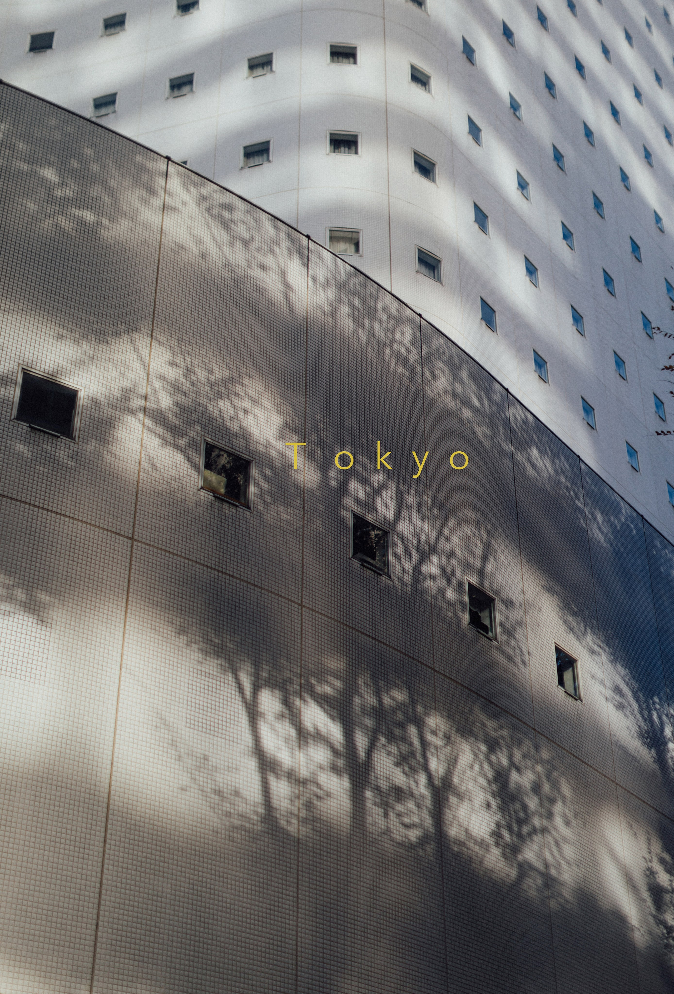 Япония. Главная