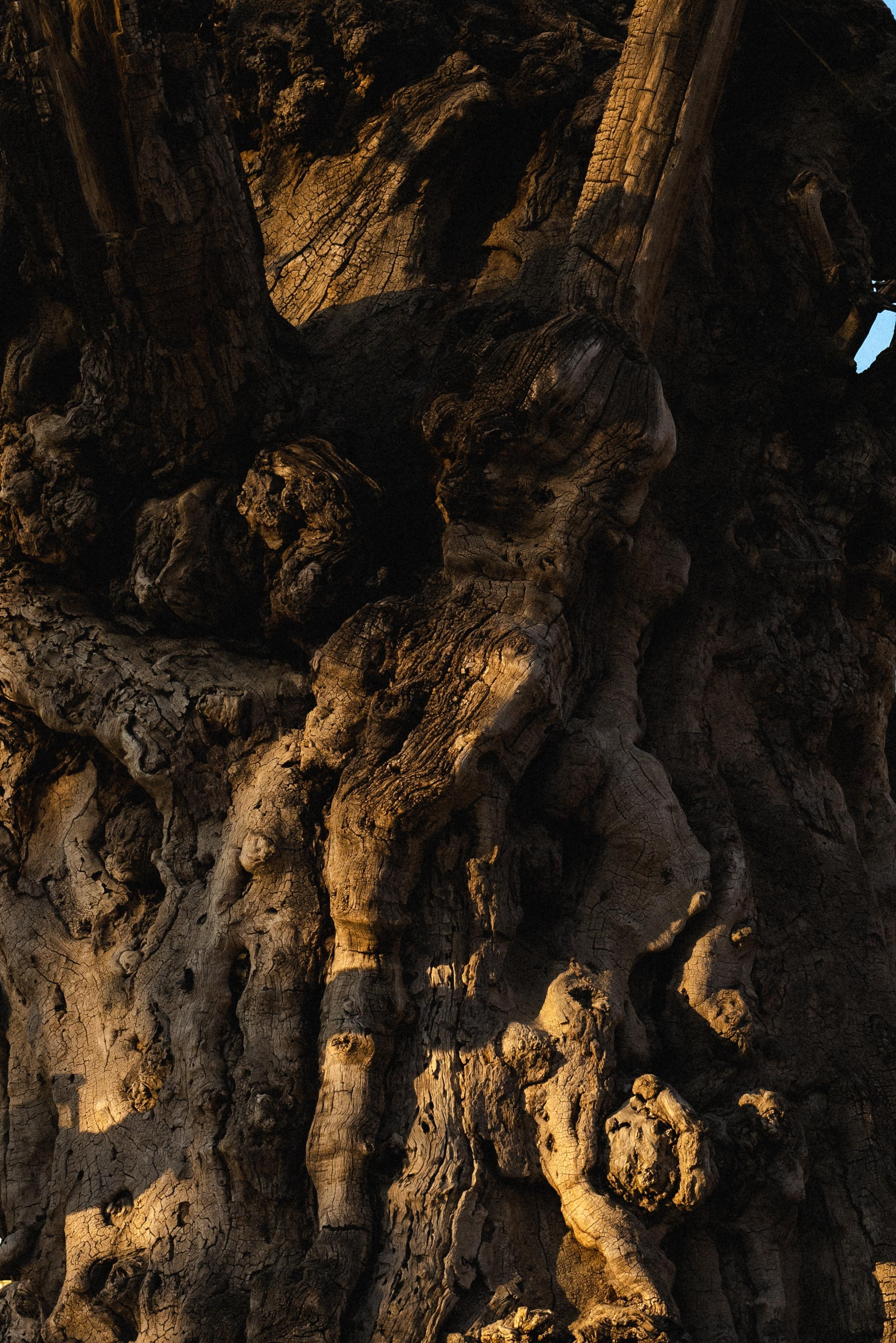 Uzbekistan. Фотограф Евгения Добротворская