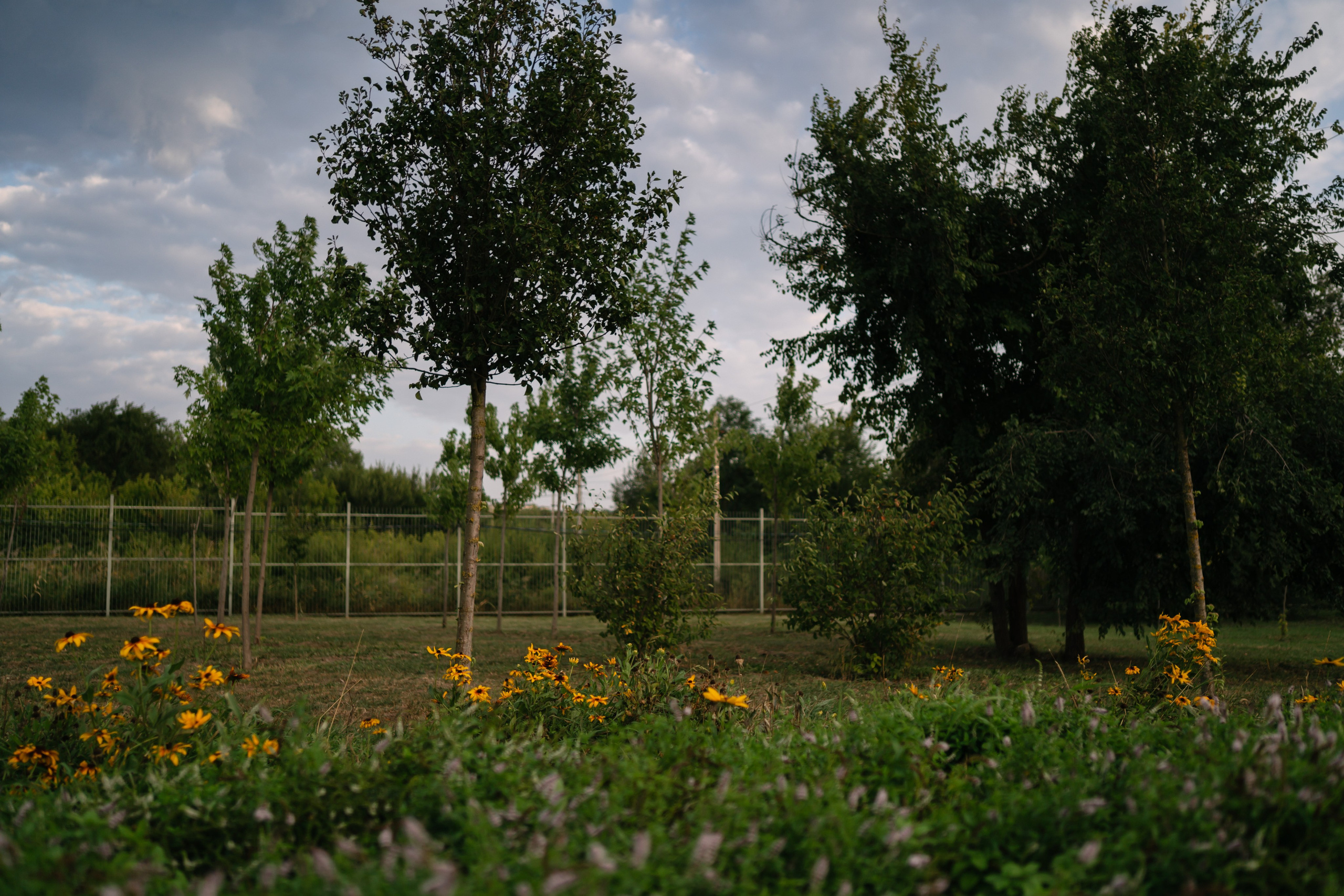 Локации для школьных съемок. Семейный фотограф и видеограф Ростов-на-Дону