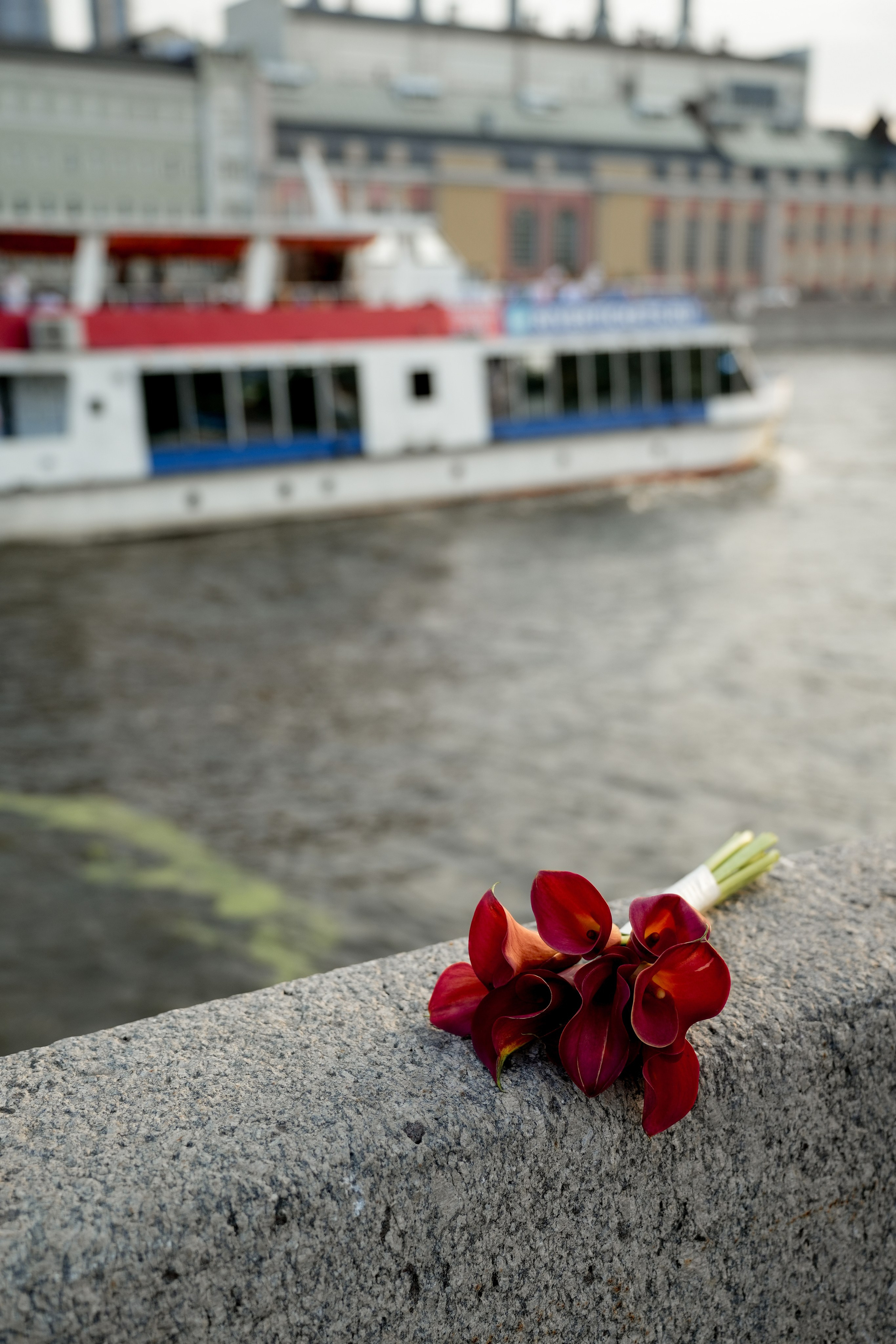 Владимир и Елизавета. Фотограф Элина Задорожная