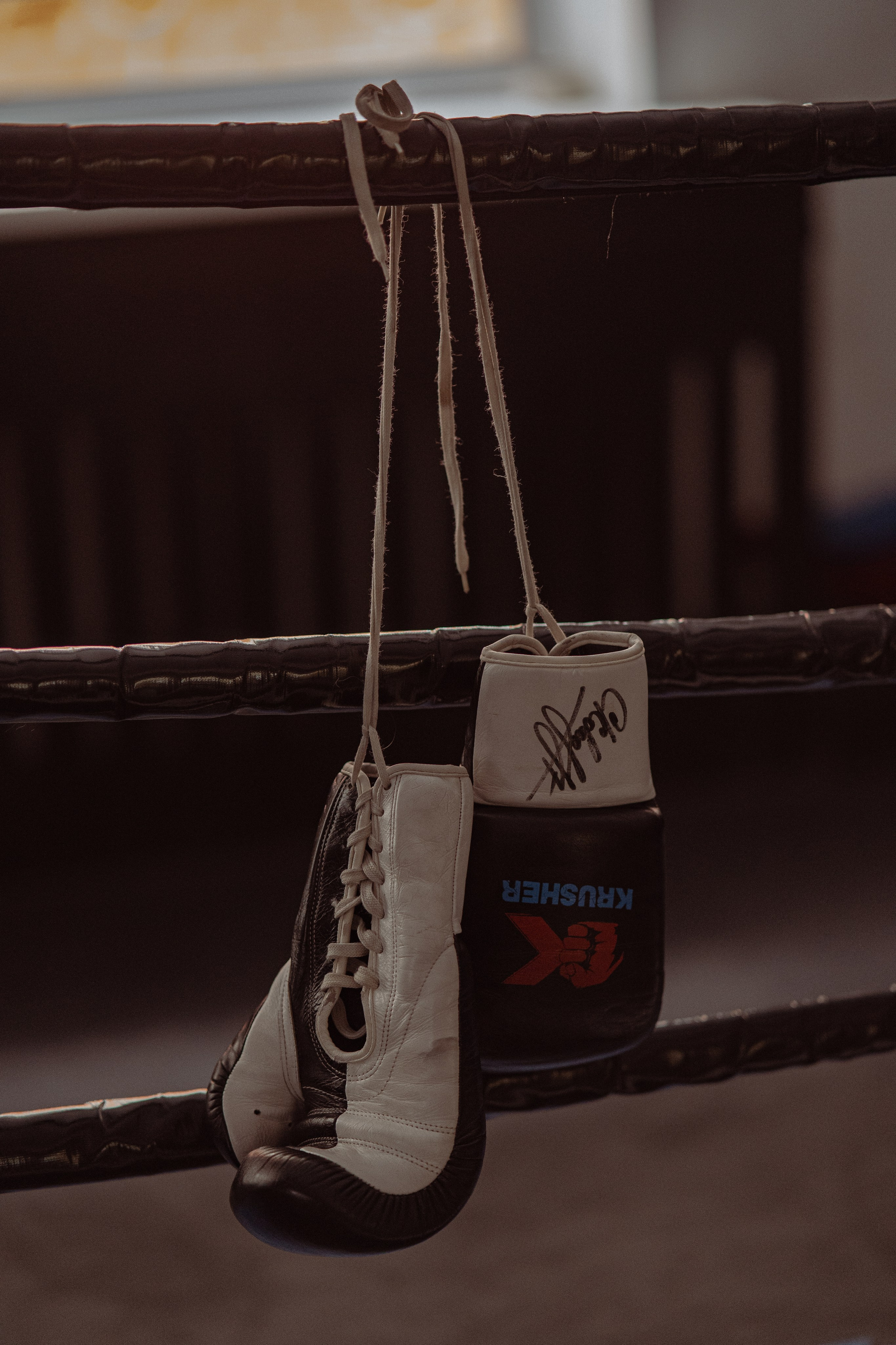 Бокс. Фотограф Мария Зайчик