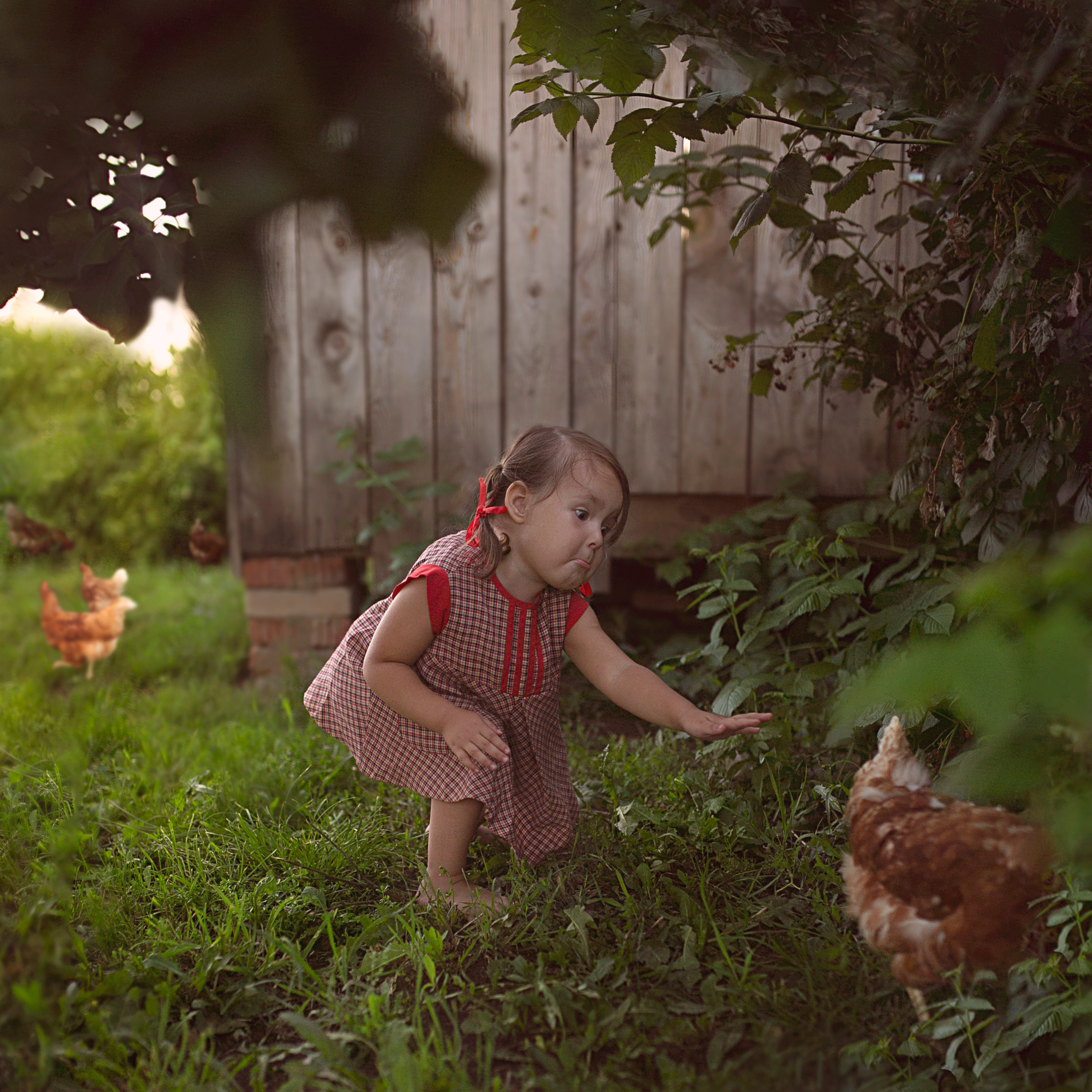 Летом в деревне…. Семейный и детский фотограф в Ижевске Анастасия Камариттинова