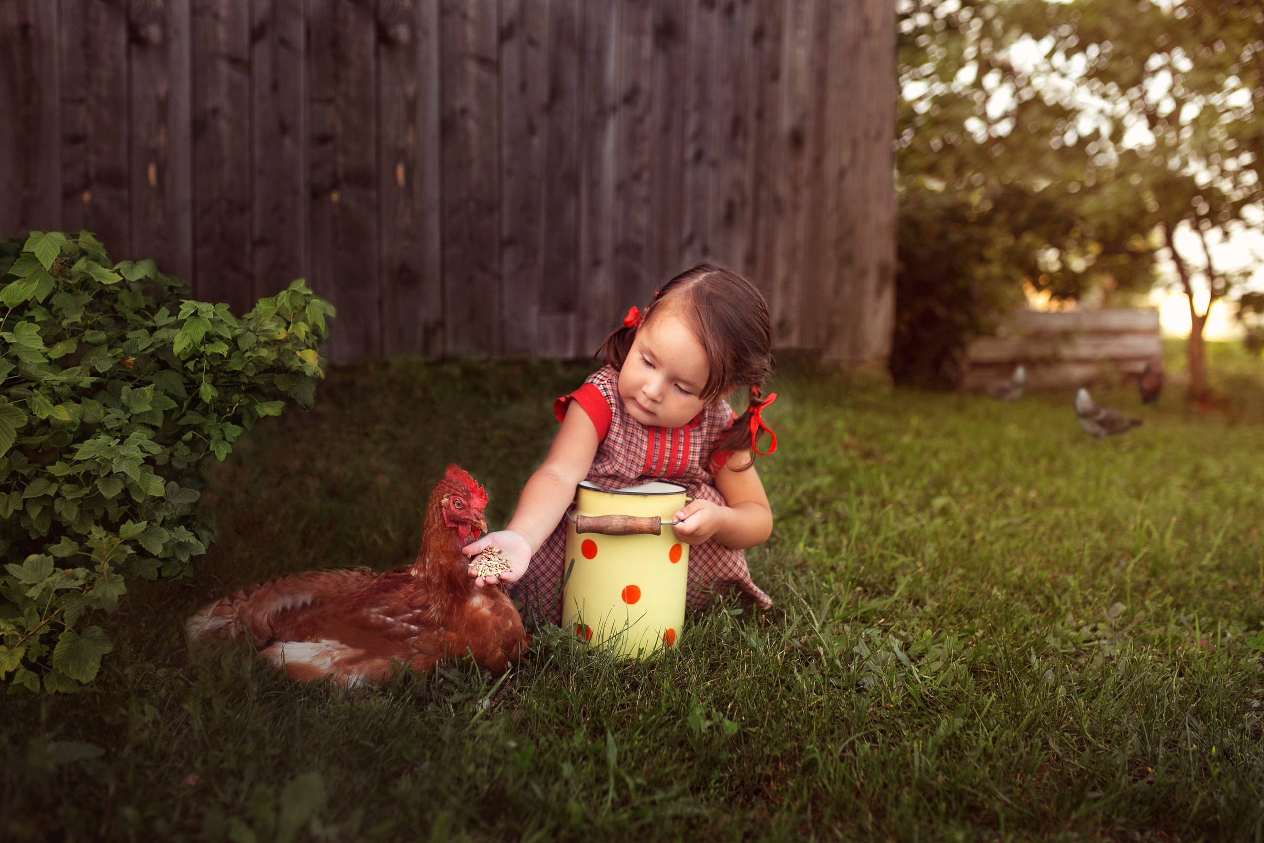 Летом в деревне…. Семейный и детский фотограф в Ижевске Анастасия Камариттинова