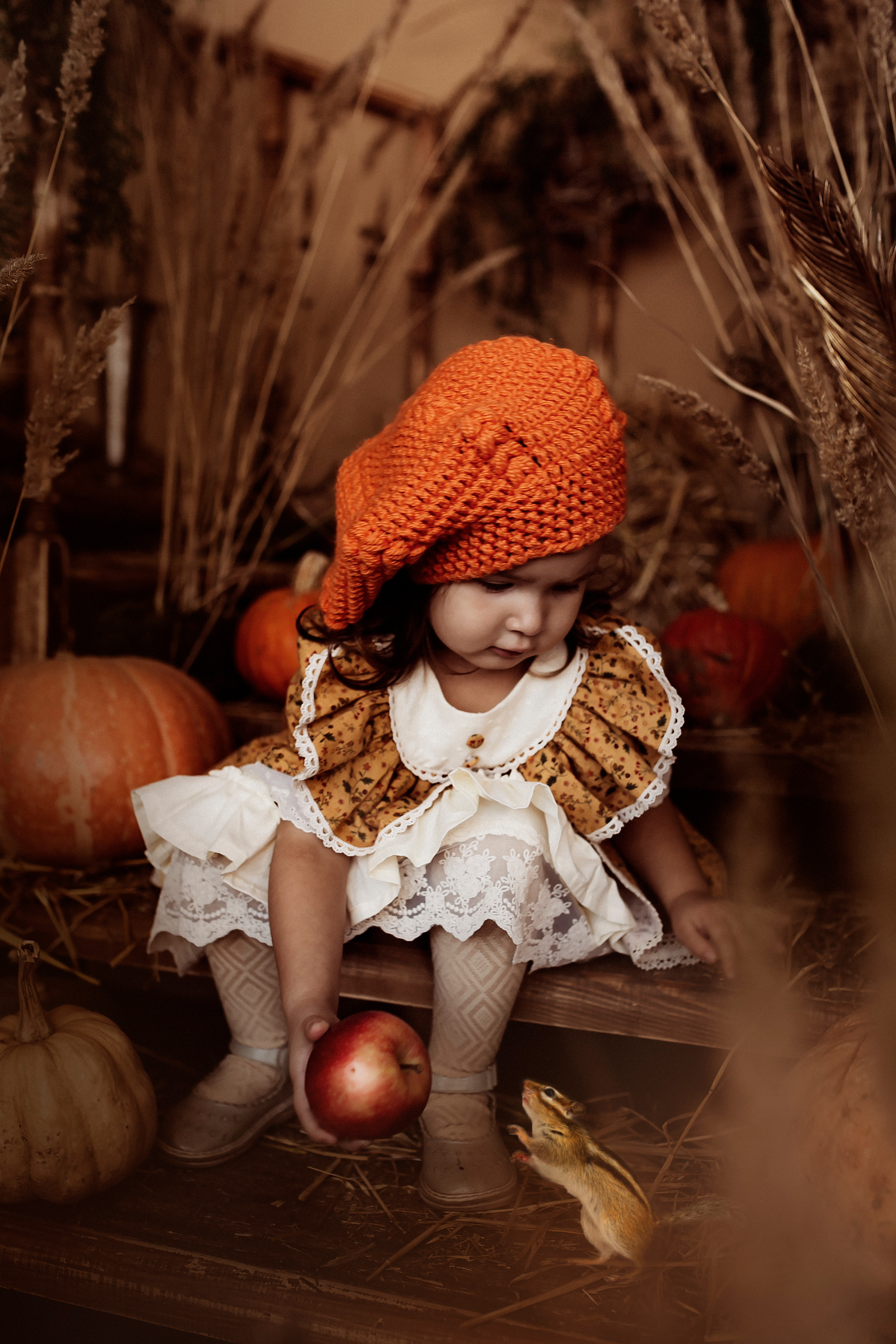 София тыквы бурундук. Семейный и детский фотограф в Ижевске Анастасия Камариттинова