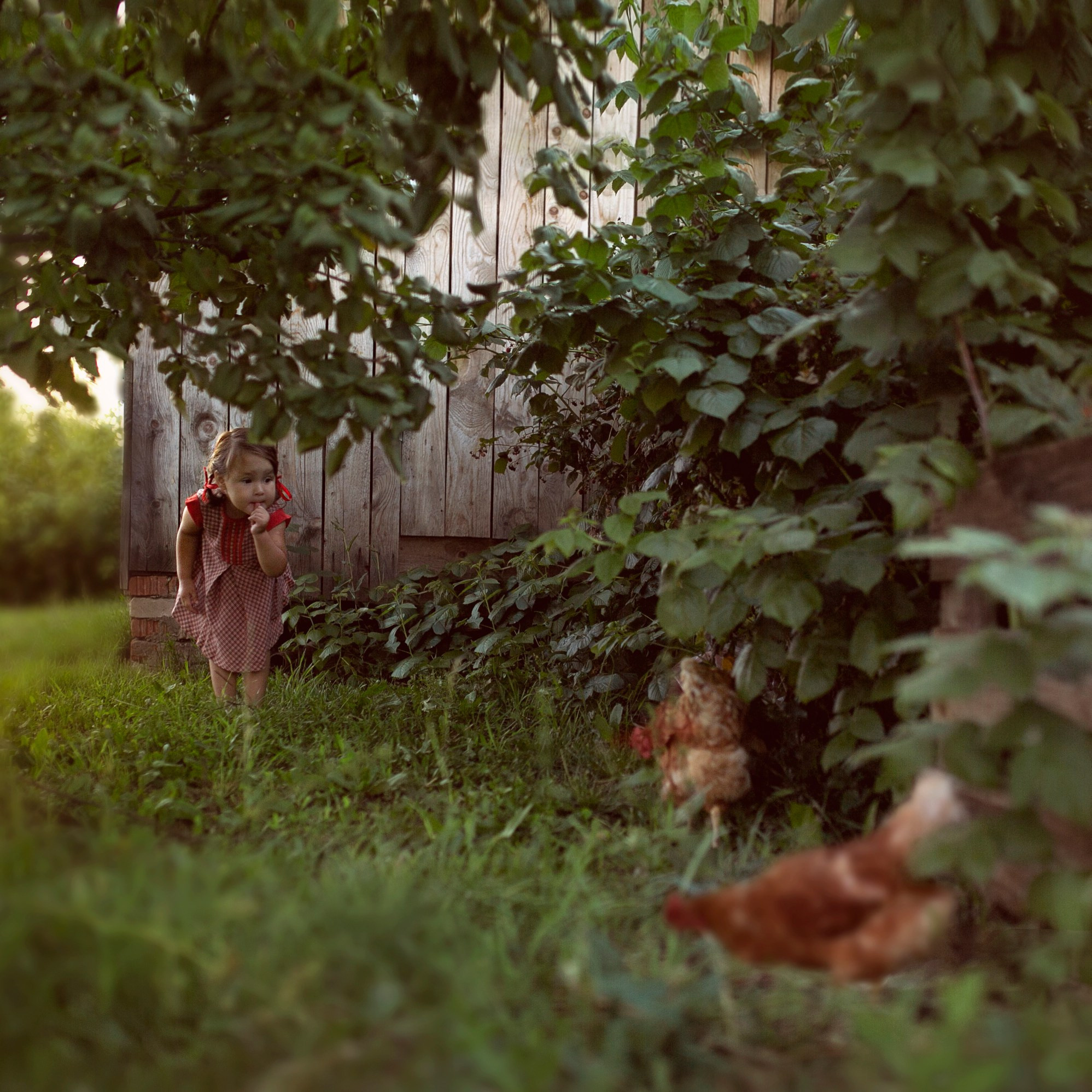 Летом в деревне…. Семейный и детский фотограф в Ижевске Анастасия Камариттинова