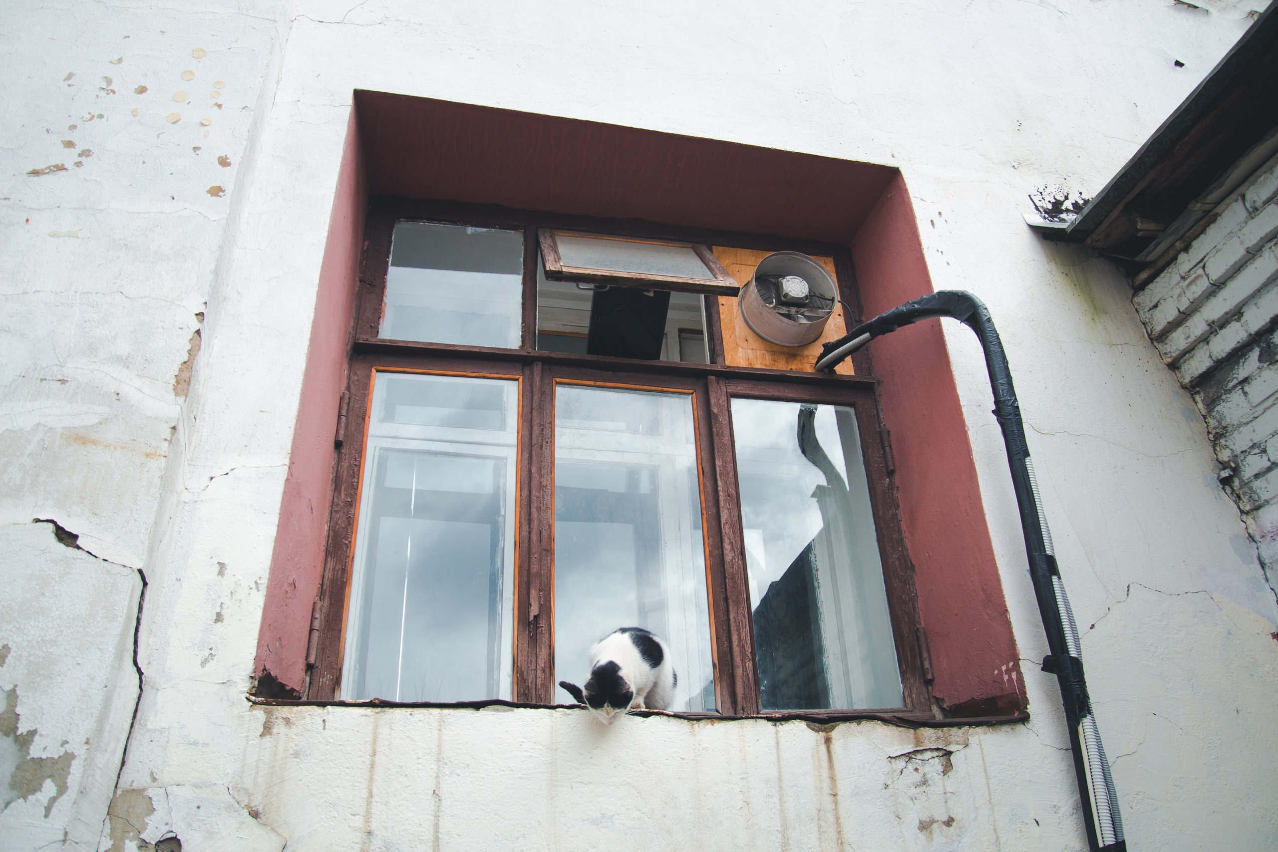 С Сашей на Хохловке. Фотограф Мария Згонник