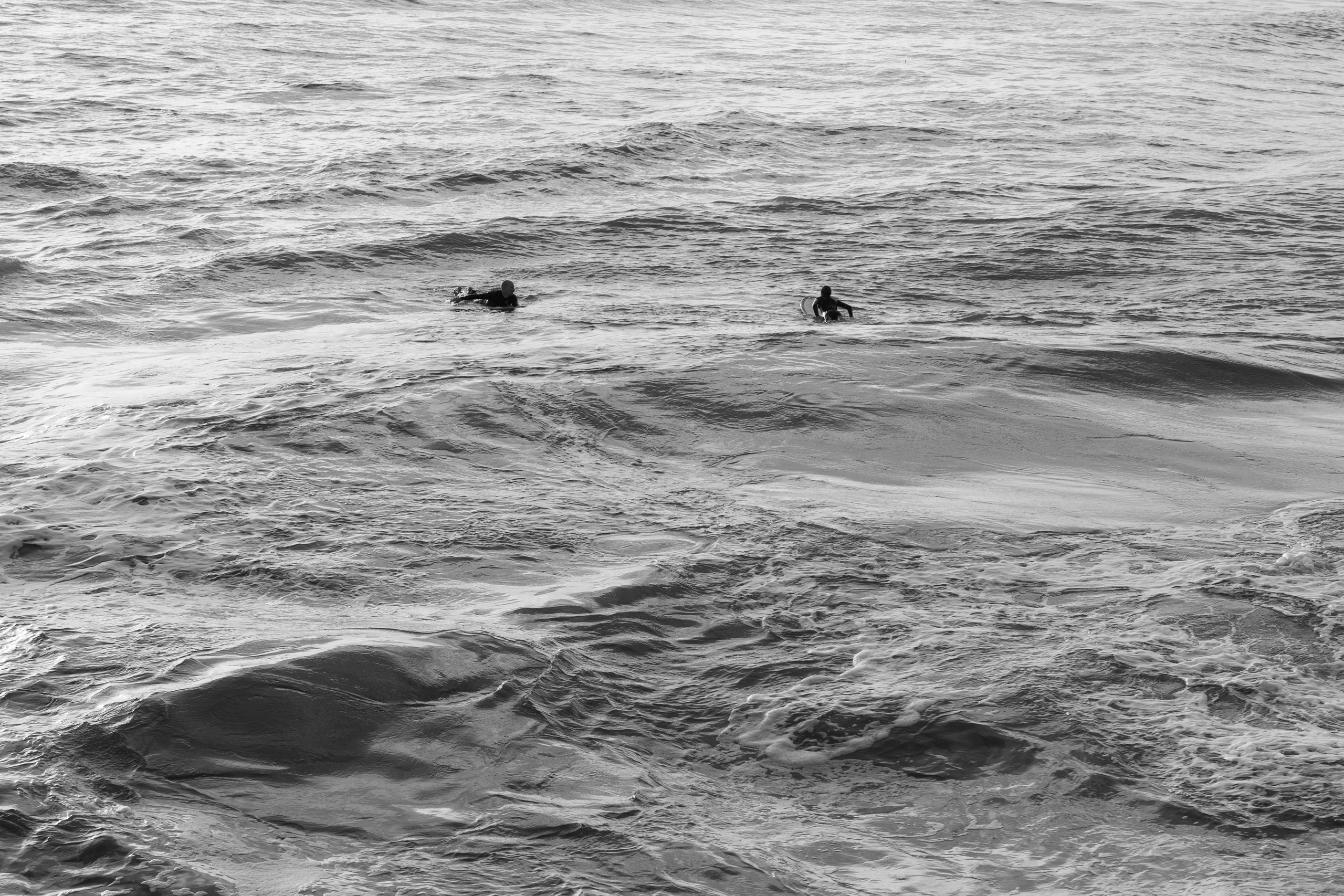 Art prints. Фотограф алина стерхова, алина стерхова фотограф, фотограф москва