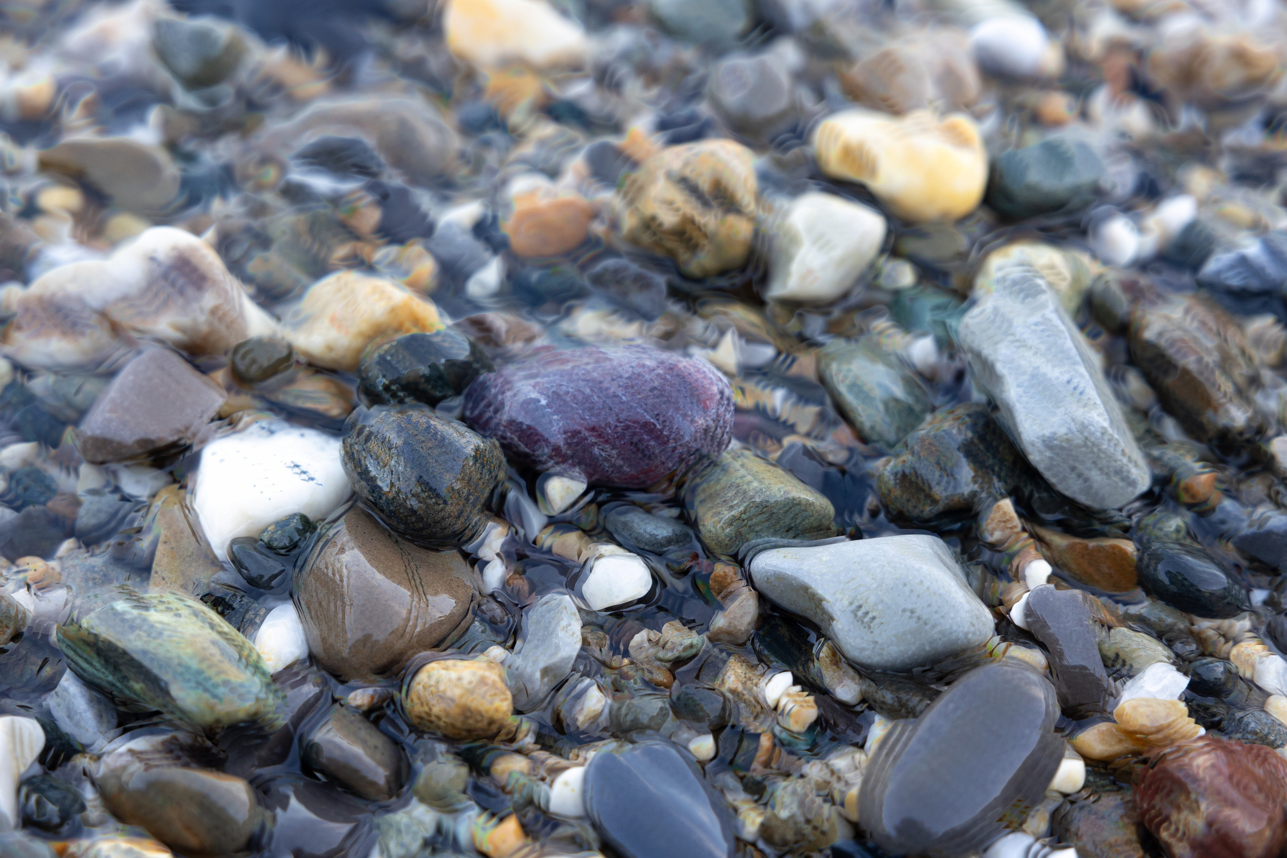 Art prints. Фотограф алина стерхова, алина стерхова фотограф, фотограф москва