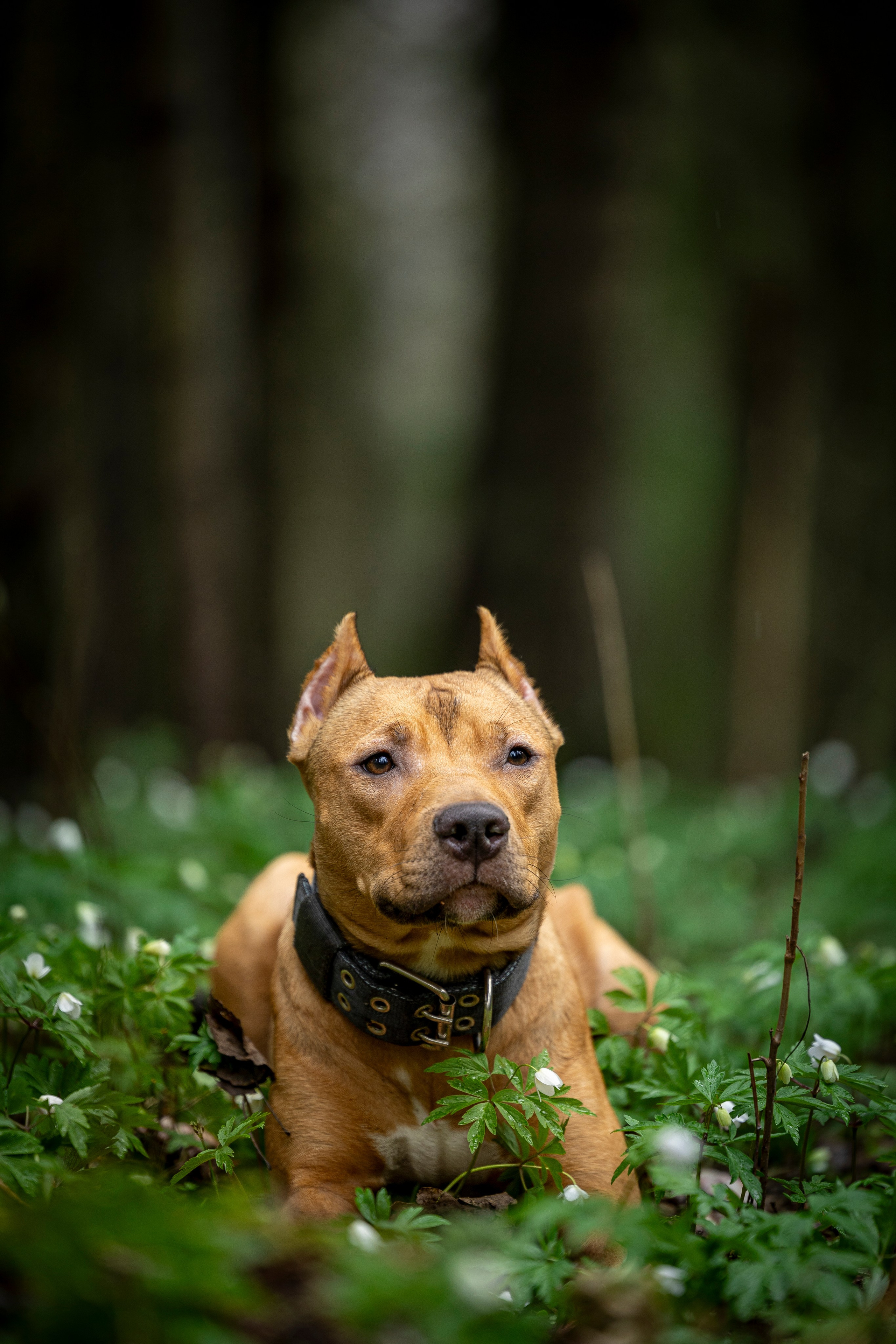 Миура. Фотограф-анималист Анна Маринич