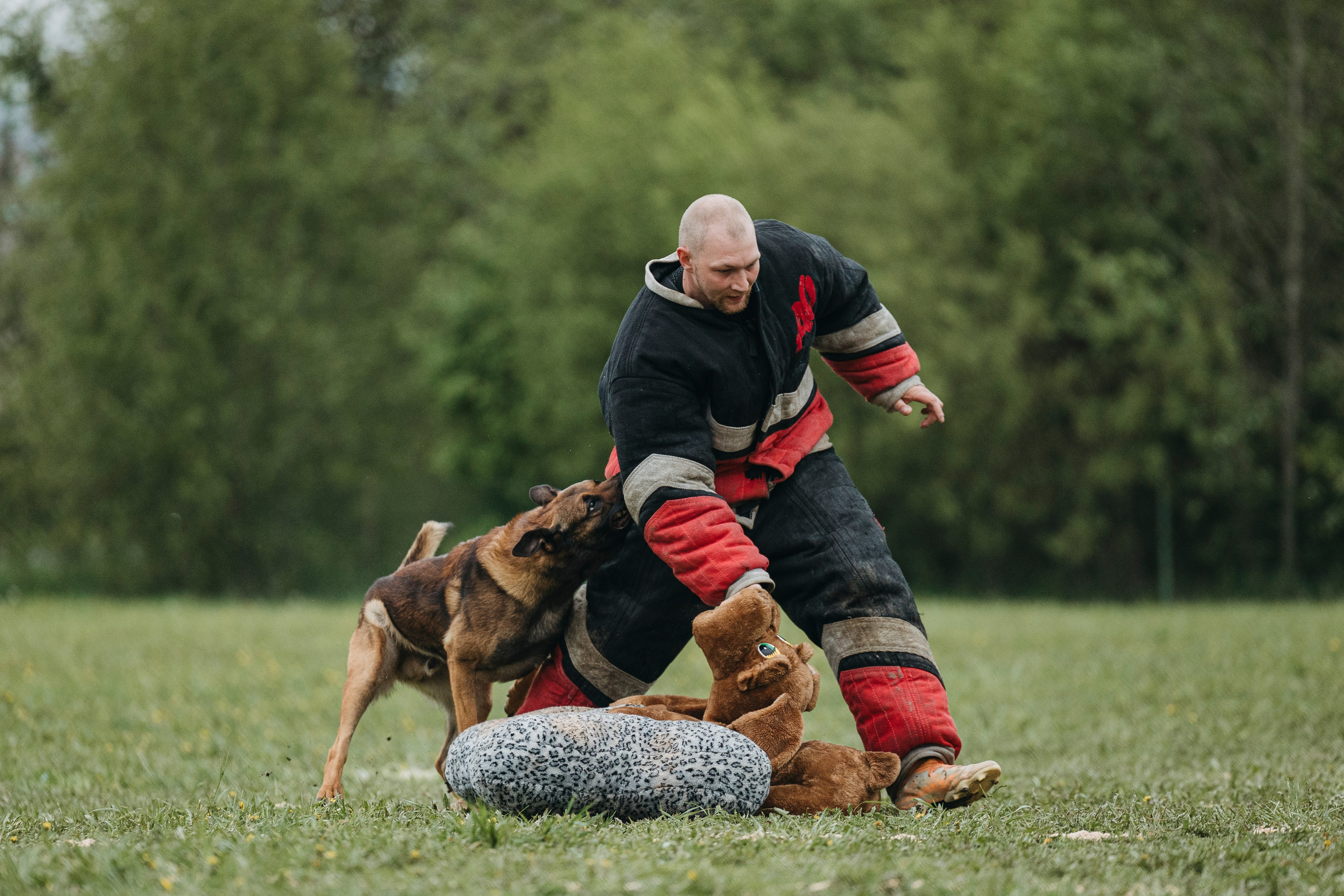 26.05.25 г. Пушкин квалификационные соревнования. Фотограф-анималист Анна Маринич